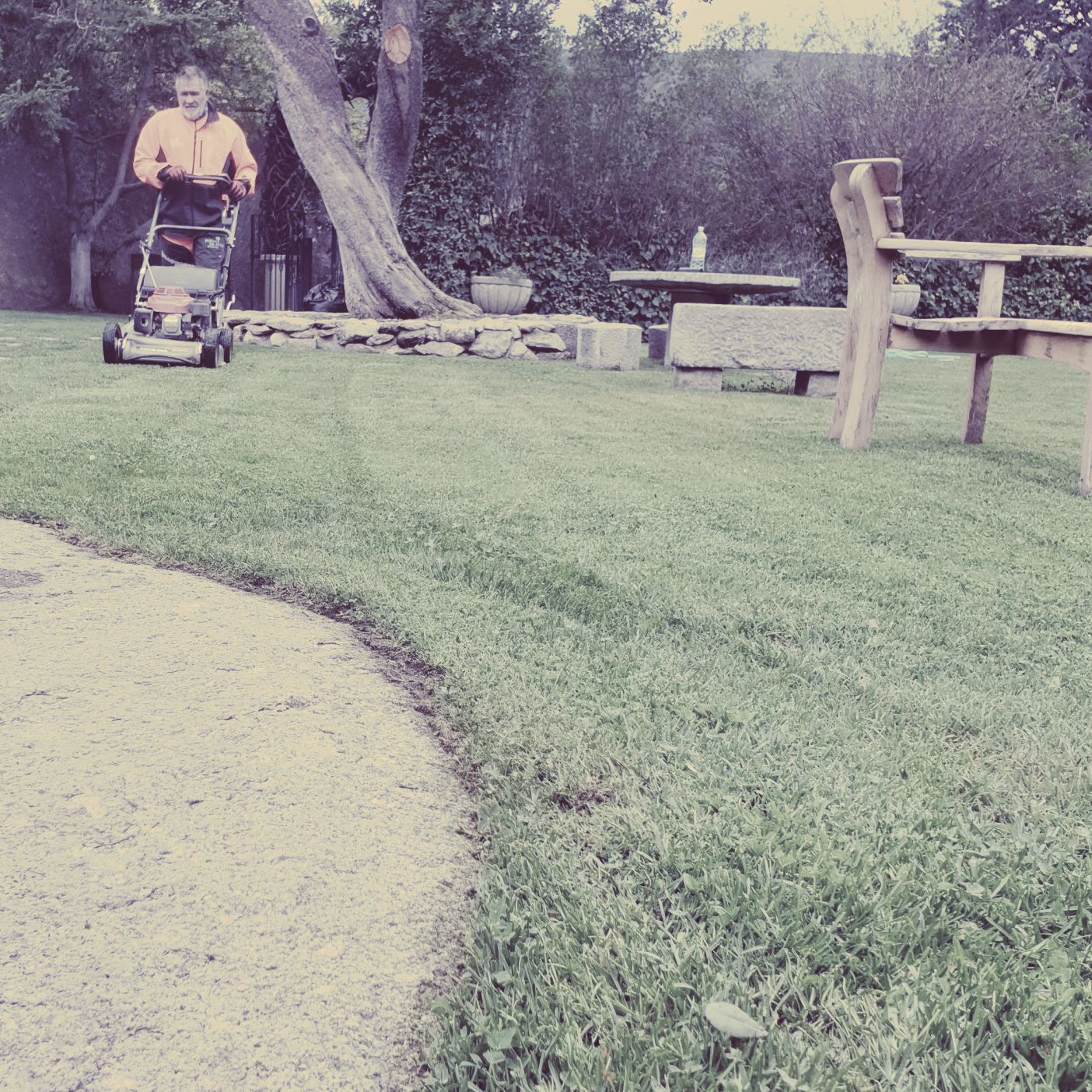 Tareas de otoño en el jardín