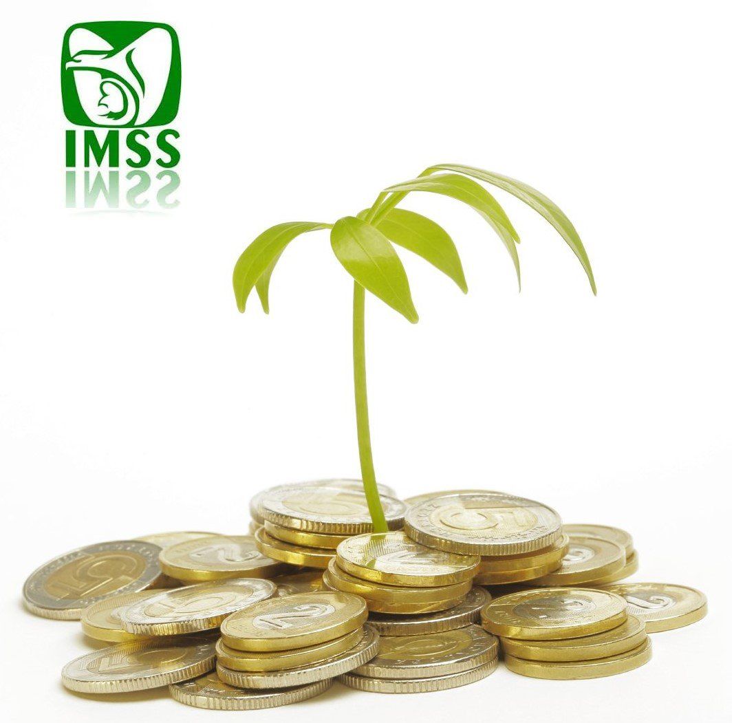 MODALIDAD 40
www.aseguratupension.mx