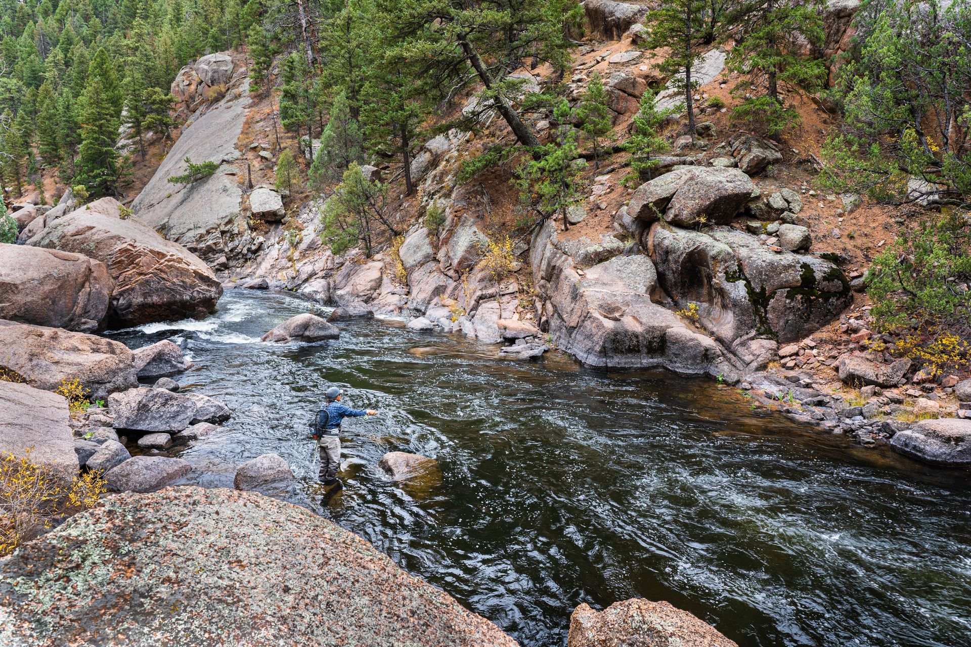 cheesman canyon fly fishing