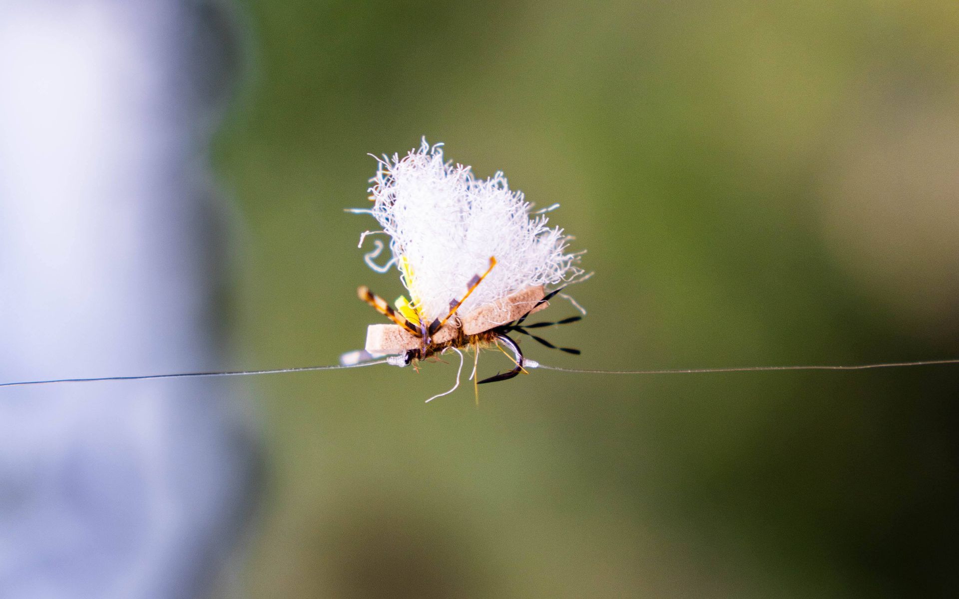 fly fishing flies
