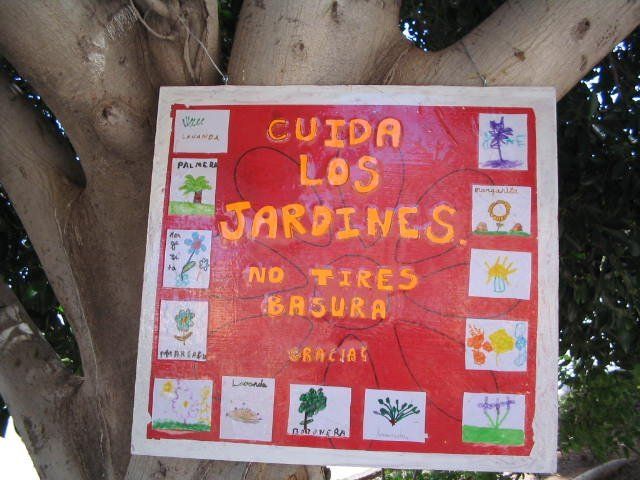 cartel realizado por alumnado