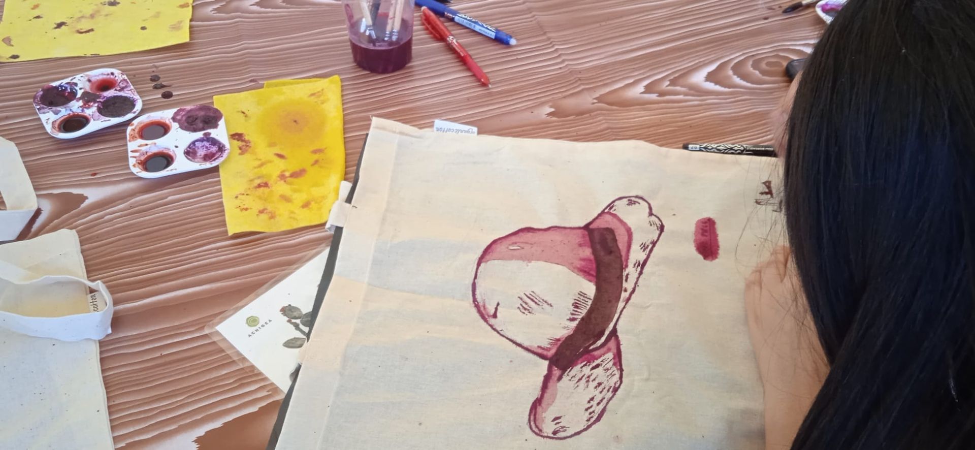 cochinilla en tela