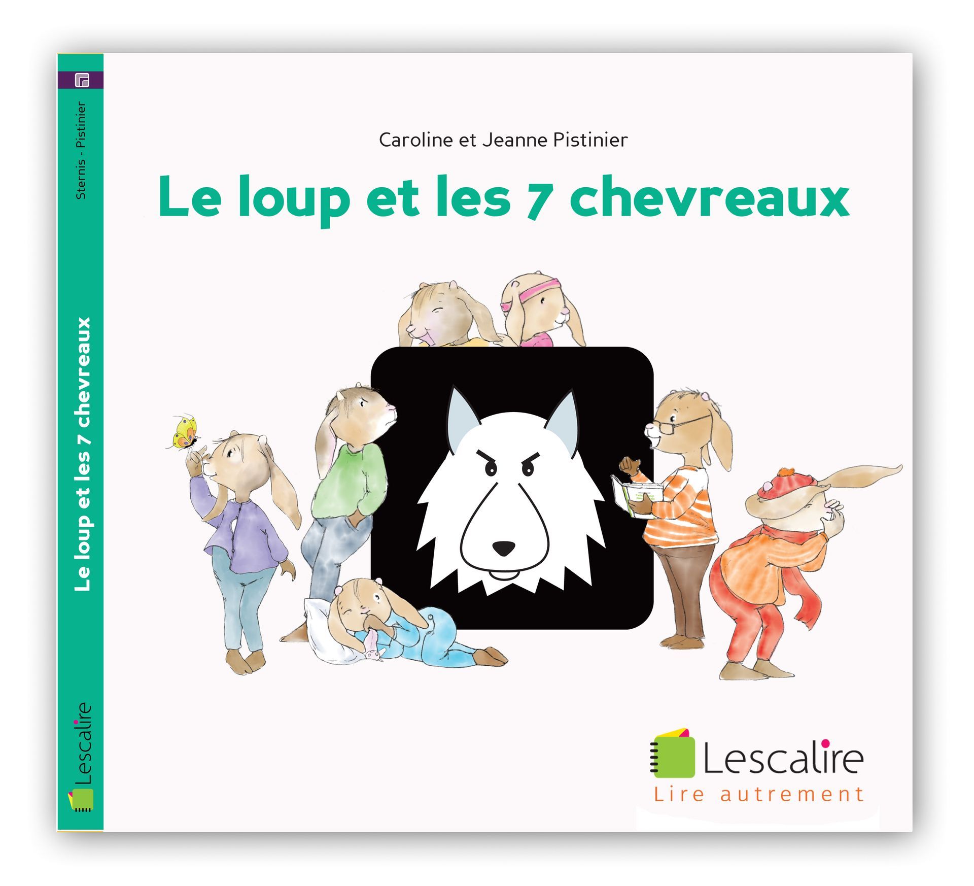 Livre en pictogrammes