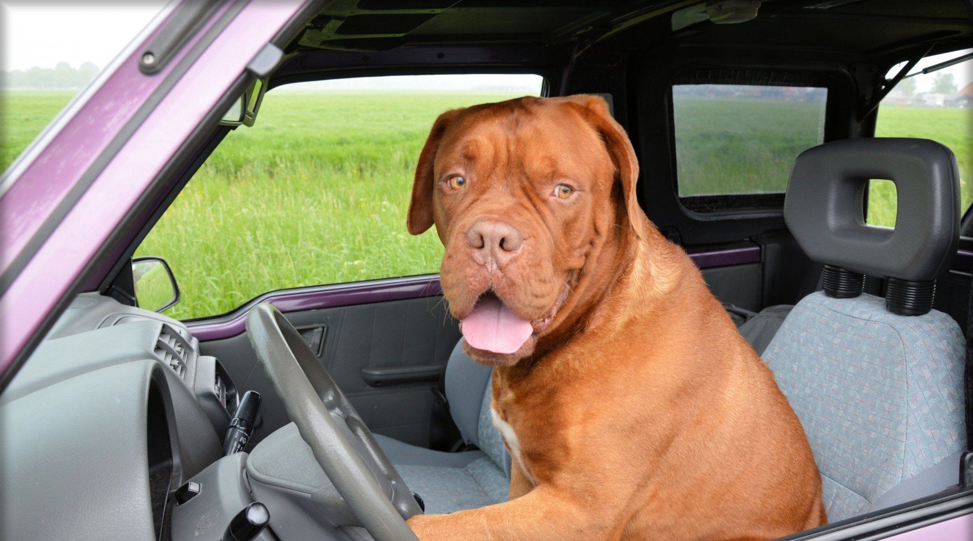 Kootenai Humane Society Vehicle Donation
