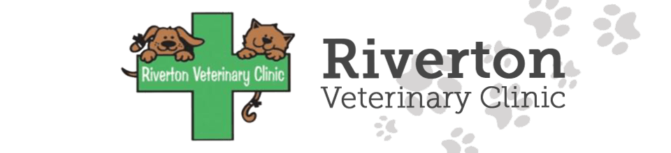 Riverton Veterinarian Clinic in Riverton, Utah