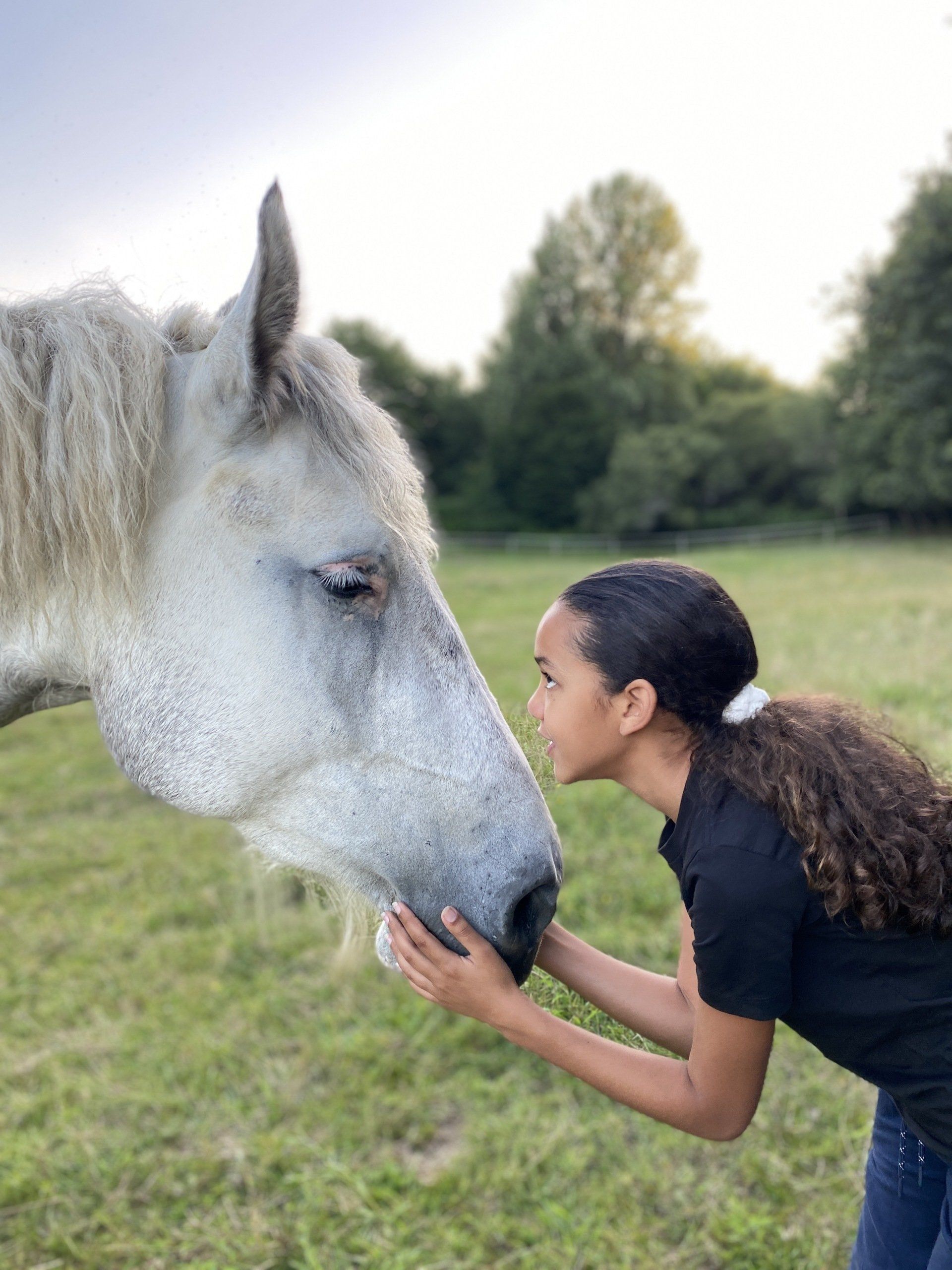 Médiation animale, zoothérapie, zootherapie, mediation animale, équithérapie, equitherapie, médiation équine, mediation equine, formation médiation animale, initiation médiation animale, formation zoothérapie, formation équithérapie, formation médiation équine, Muriel Davezan, Okapis, centre de formation