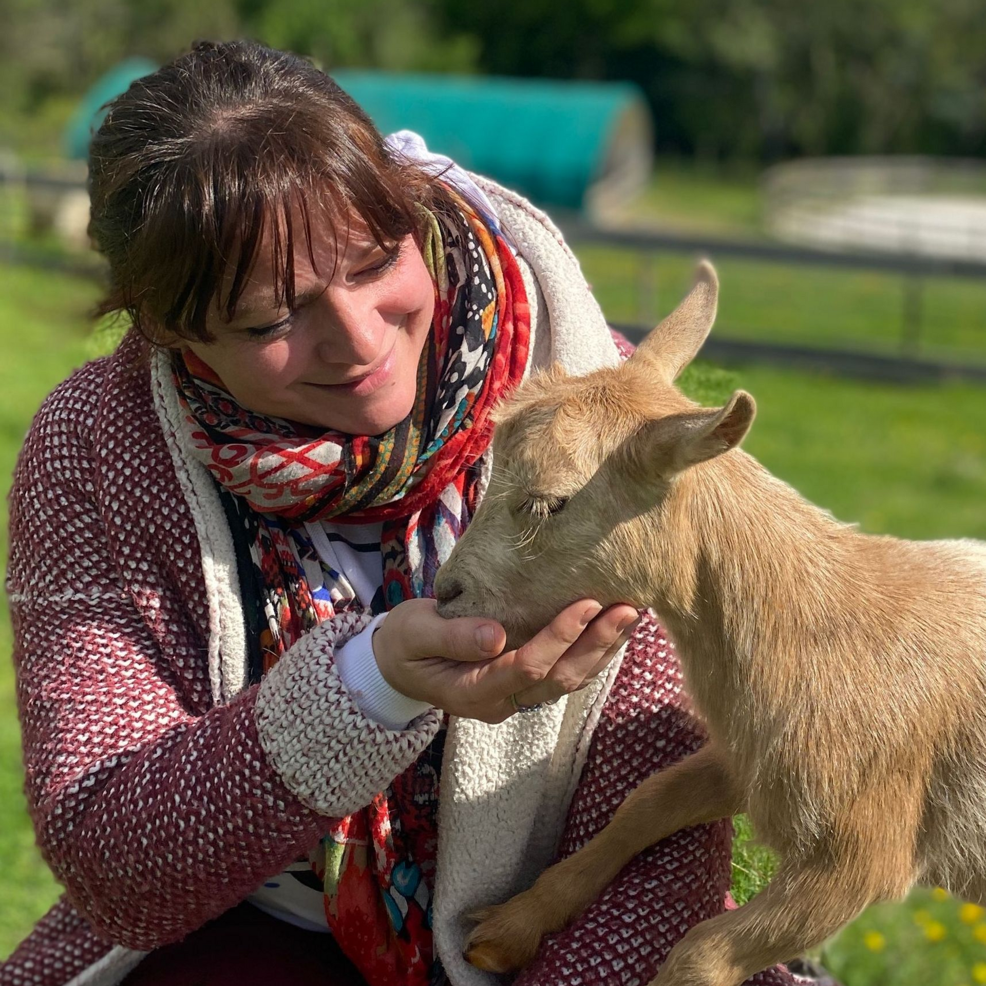 Médiation animale, zoothérapie, zootherapie, mediation animale, équithérapie, equitherapie, médiation équine, mediation equine, formation médiation animale, initiation médiation animale, formation zoothérapie, formation équithérapie, formation médiation équine, Muriel Davezan, Okapis, centre de formation