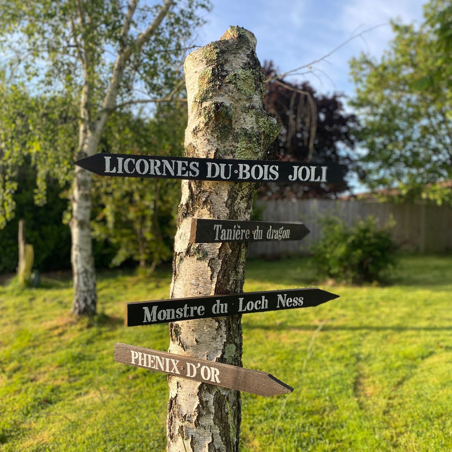 Médiation animale, zoothérapie, zootherapie, mediation animale, équithérapie, equitherapie, médiation équine, mediation equine, formation médiation animale, initiation médiation animale, formation zoothérapie, formation équithérapie, formation médiation équine, Muriel Davezan, Okapis, centre de formation