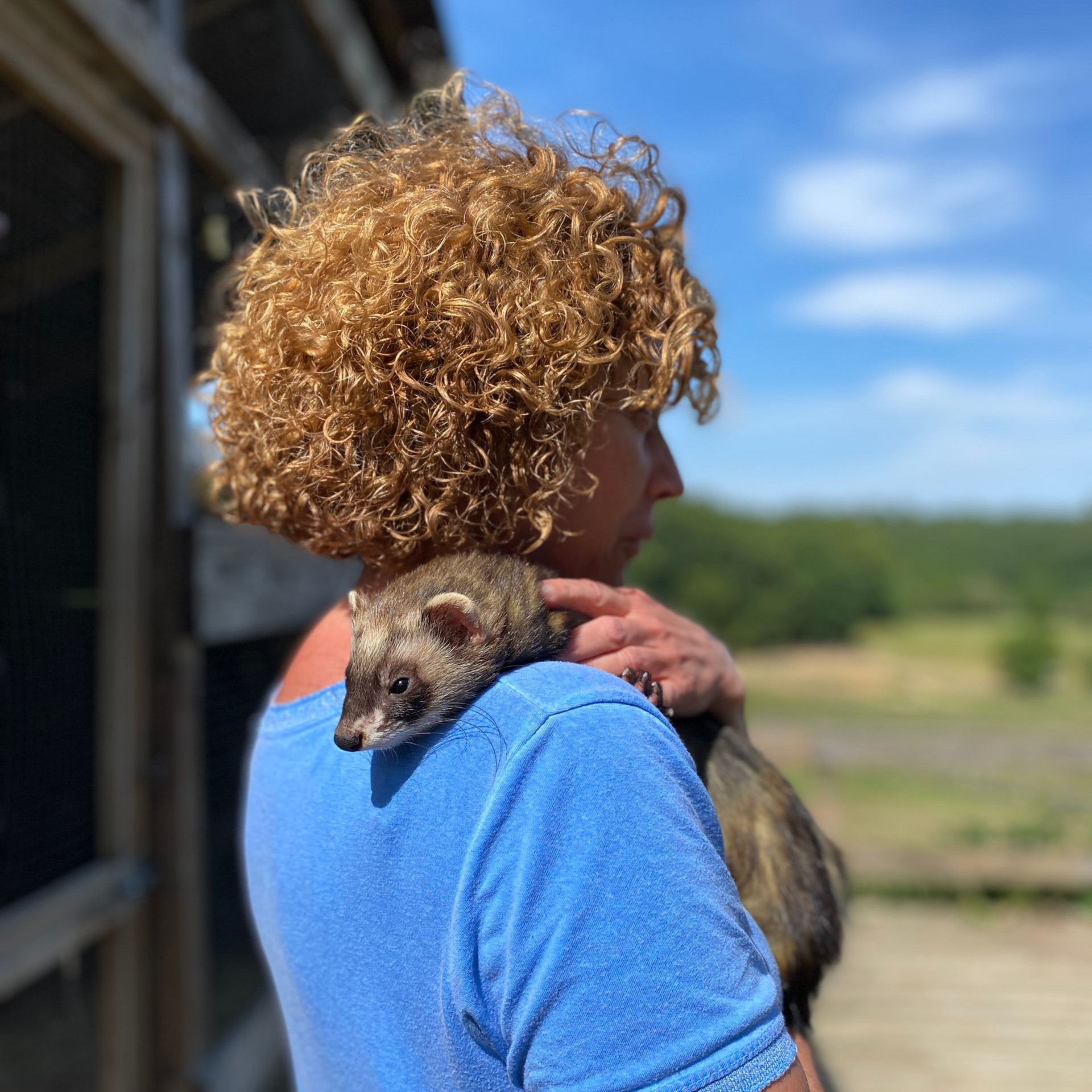 Médiation animale, zoothérapie, zootherapie, mediation animale, équithérapie, equitherapie, médiation équine, mediation equine, formation médiation animale, initiation médiation animale, formation zoothérapie, formation équithérapie, formation médiation équine, Muriel Davezan, Okapis, centre de formation