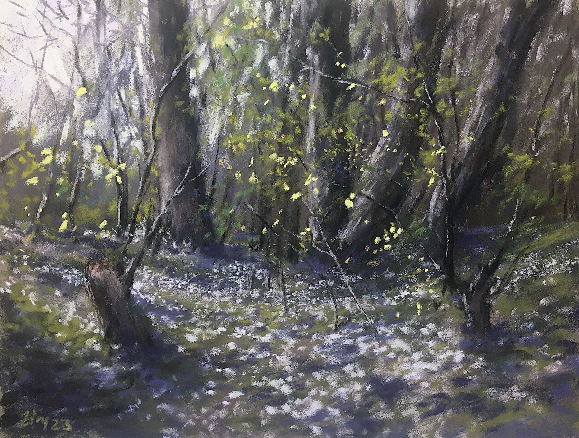 Buschwindröschen - Pastell, 25x32cm (2023) Buschwindröschen - Pastell, 25x32cm (2023)