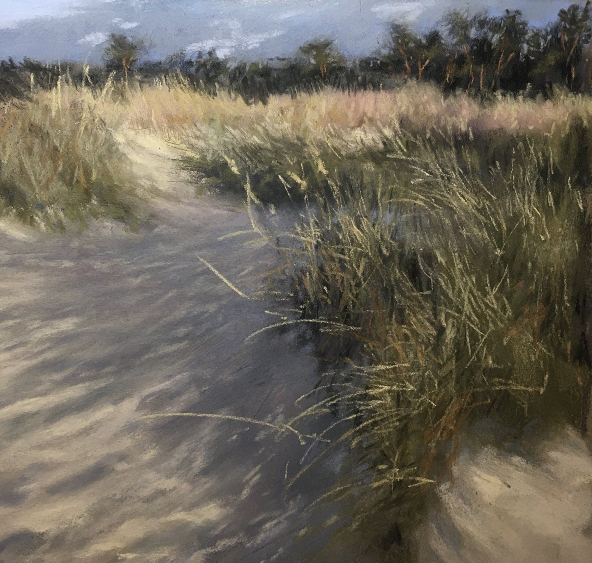 Durch die Prerower Dünen - Pastell, 30x30cm (2022) Durch die Prerower Dünen - Pastell, 30x30cm (2022)