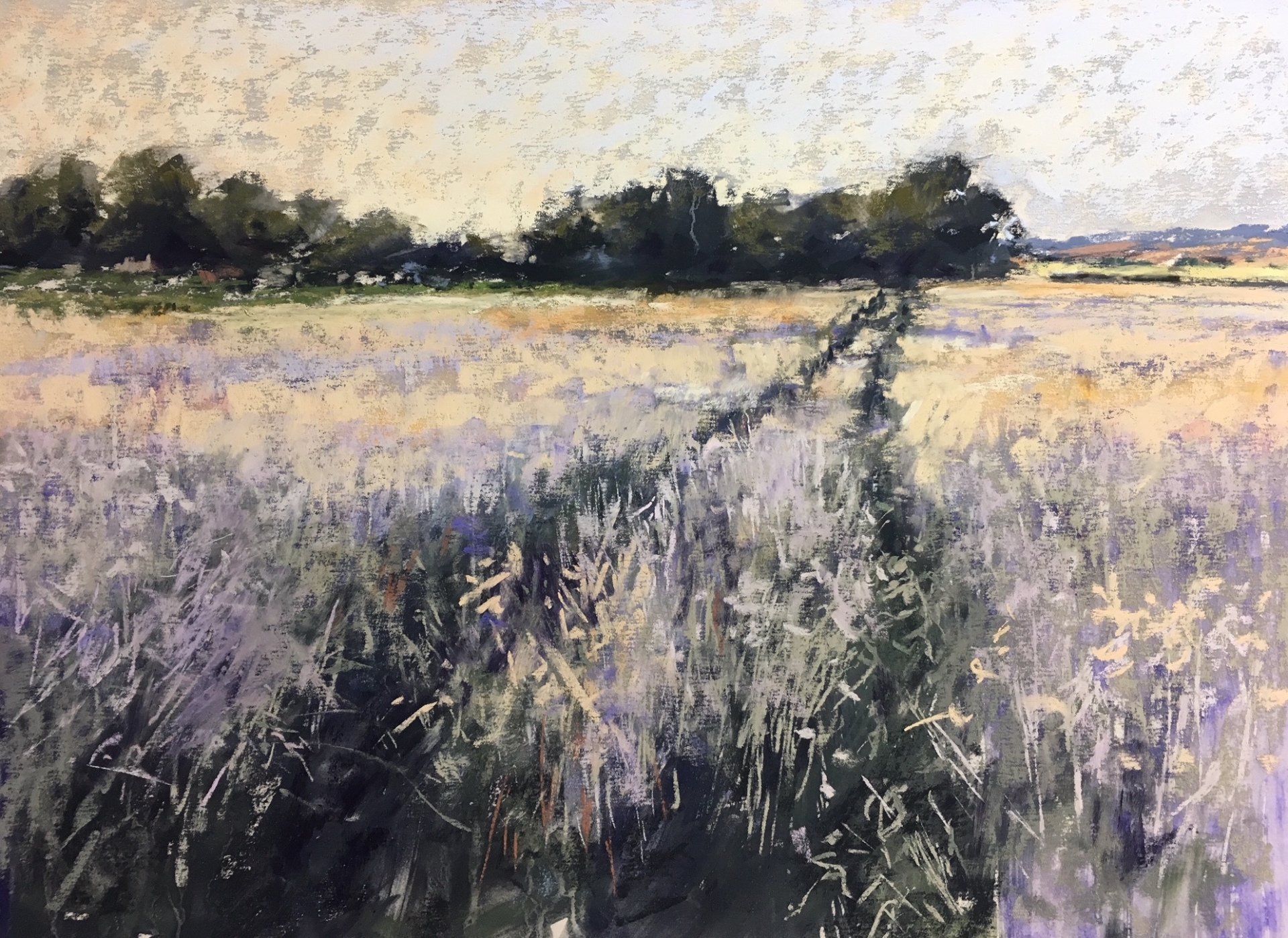 Felder - Pastell, 30x40cm (2019) Felder - Pastell, 30x40cm (2019)