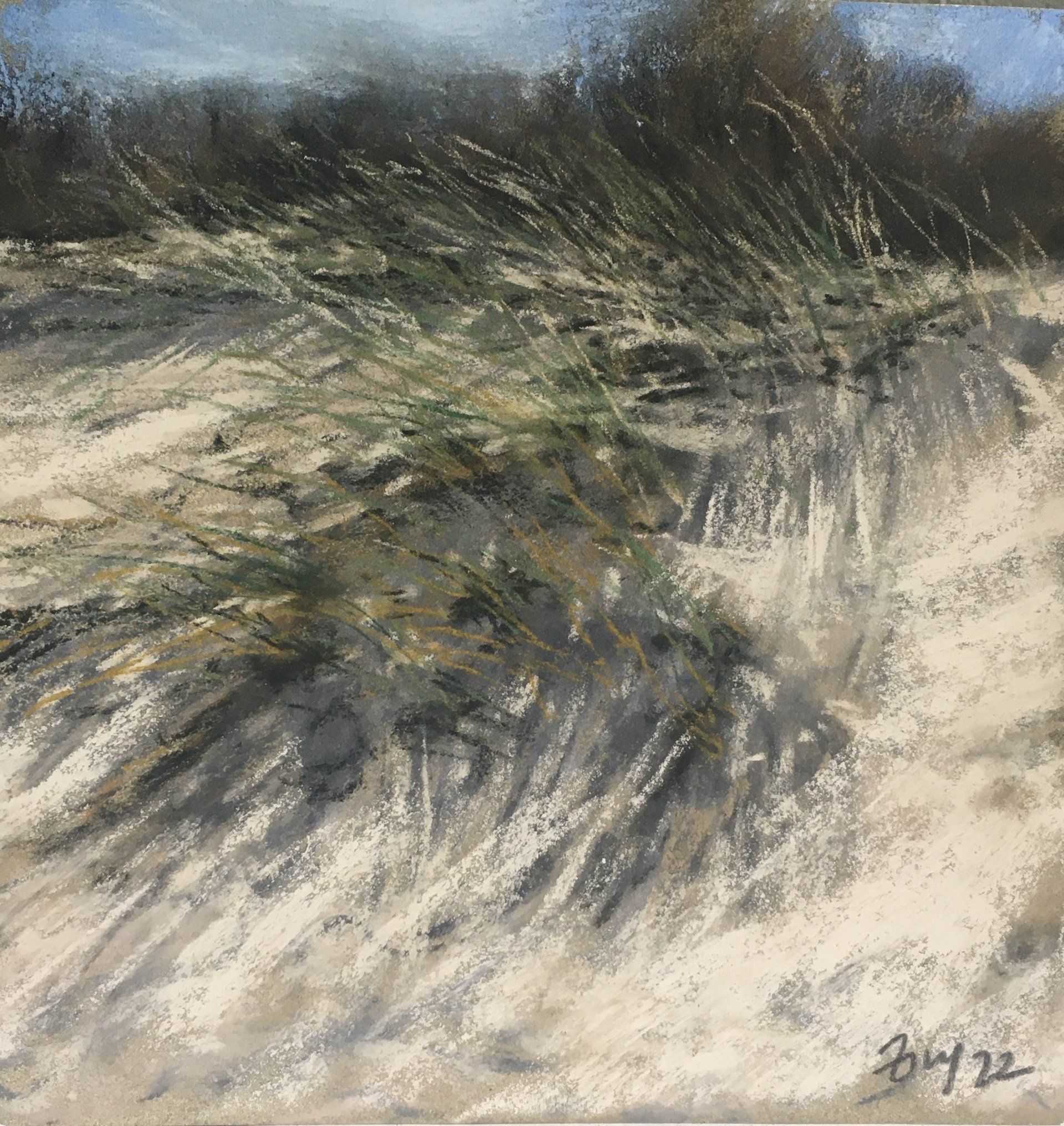 Dünengras - Pastell Pleinair Skizze, 20x20cm (2022) Dünengras - Pastell Pleinair Skizze, 20x20cm (2022)