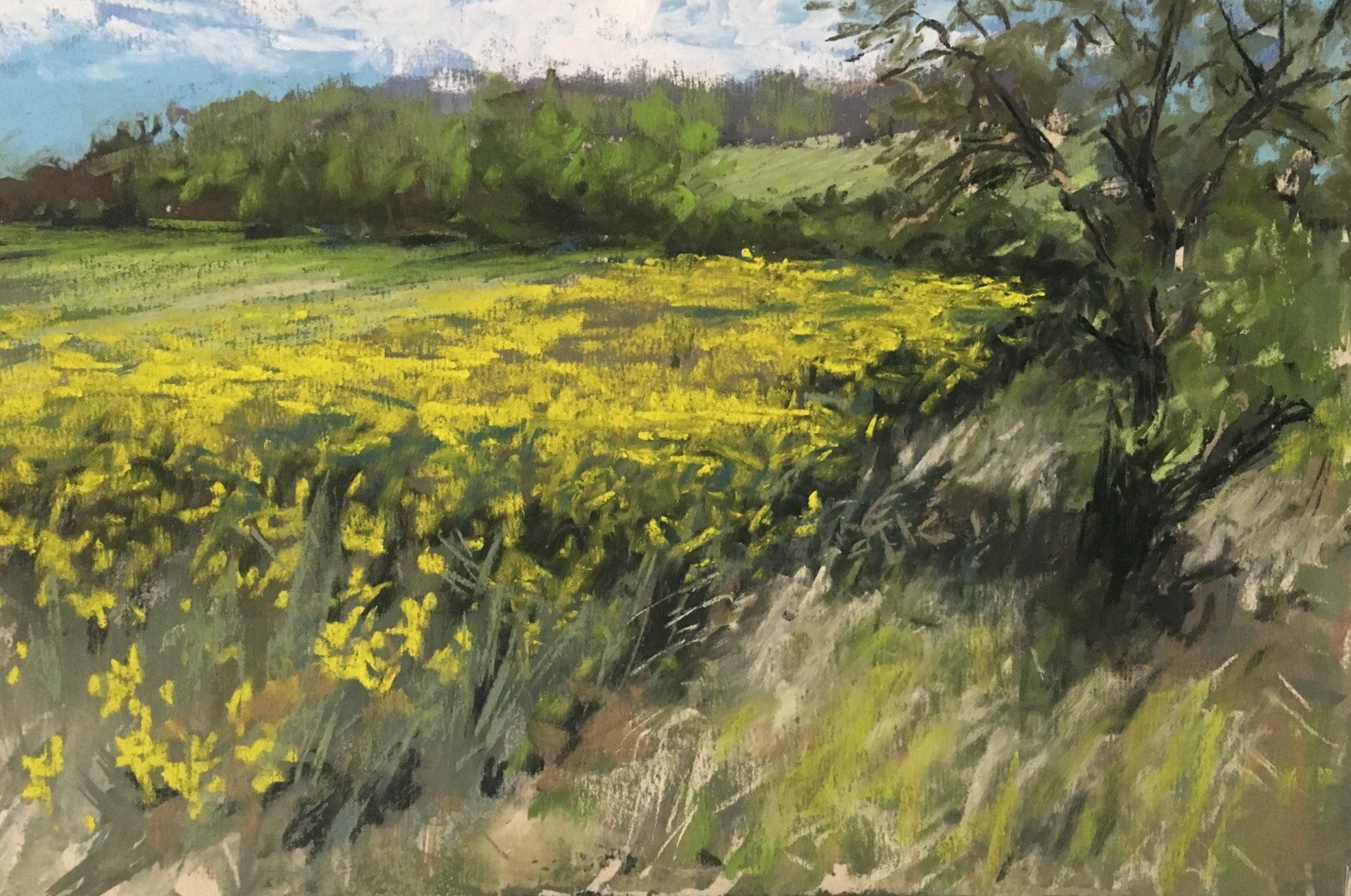 Rapsfeld im Mai - Pastell, 20x30cm (2020) Rapsfeld im Mai - Pastell, 20x30cm (2020)