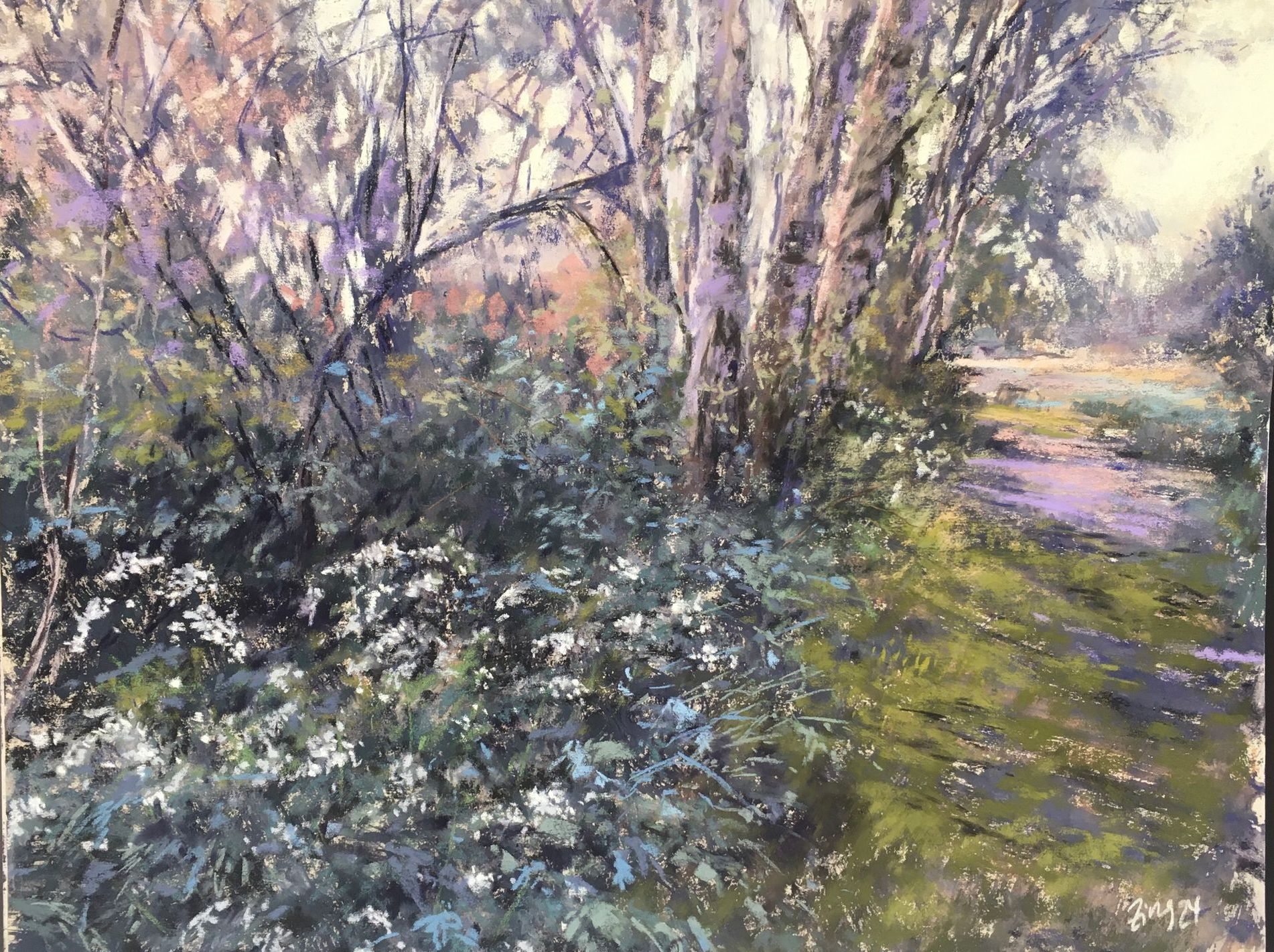 Wilde Möhre und Birken - Pastell, ca. 40x50cm (2024) Wilde Möhre und Birken - Pastell, ca. 40x50cm (2024)