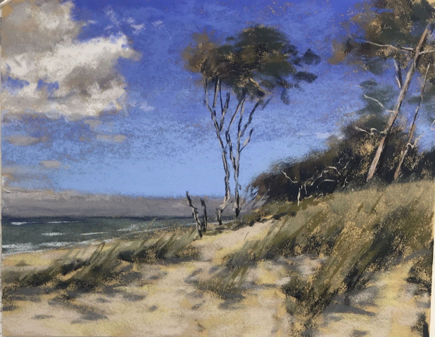 Wind, Wind, Windflüchter - Pastell, ca. 25x32cm (2024) Wind, Wind, Windflüchter - Pastell, ca. 25x32cm (2024)