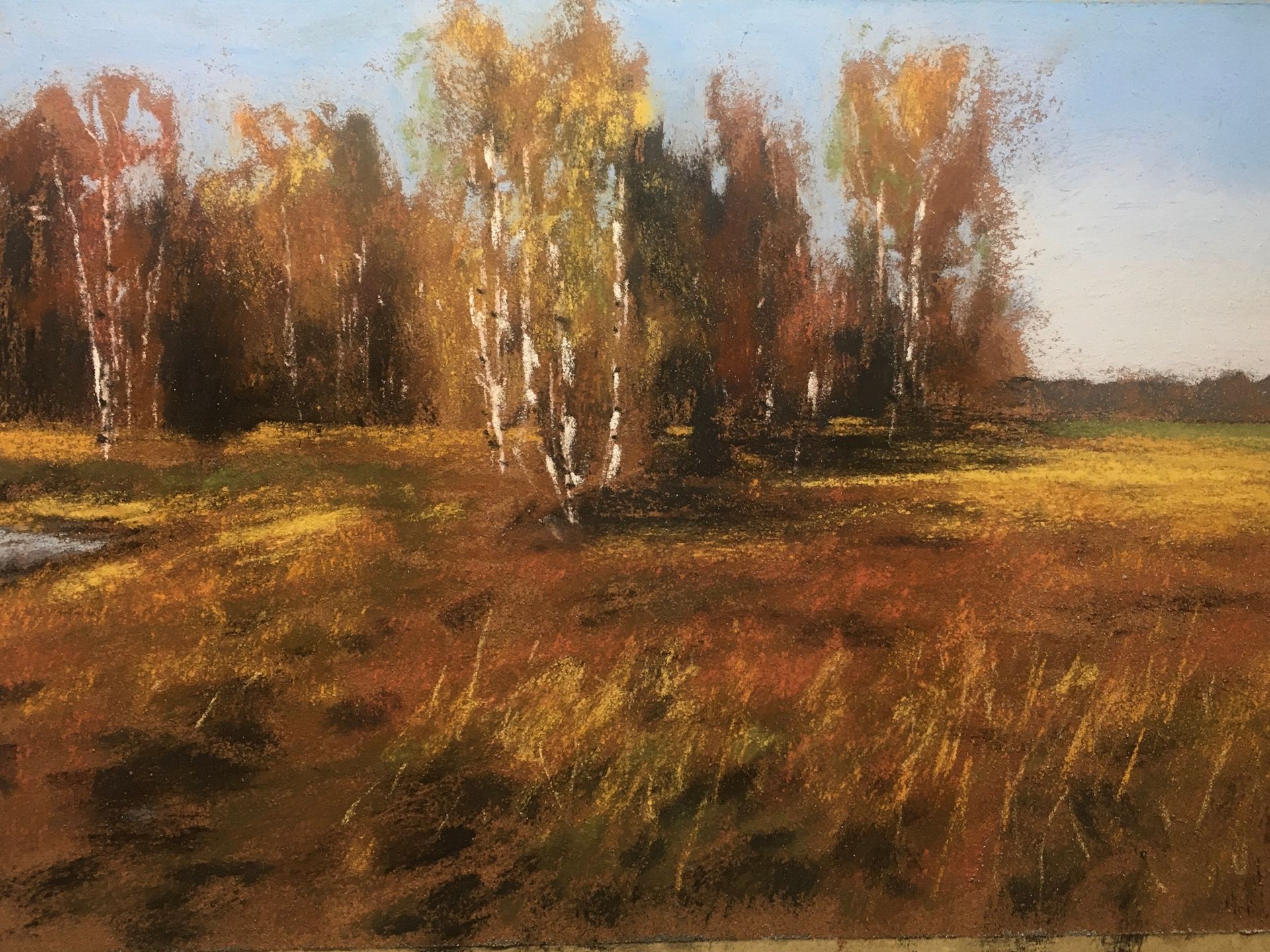 Birken im Herbst - Pastell, ca. 25x32cm (2024) Birken im Herbst - Pastell, ca. 25x32cm (2024)