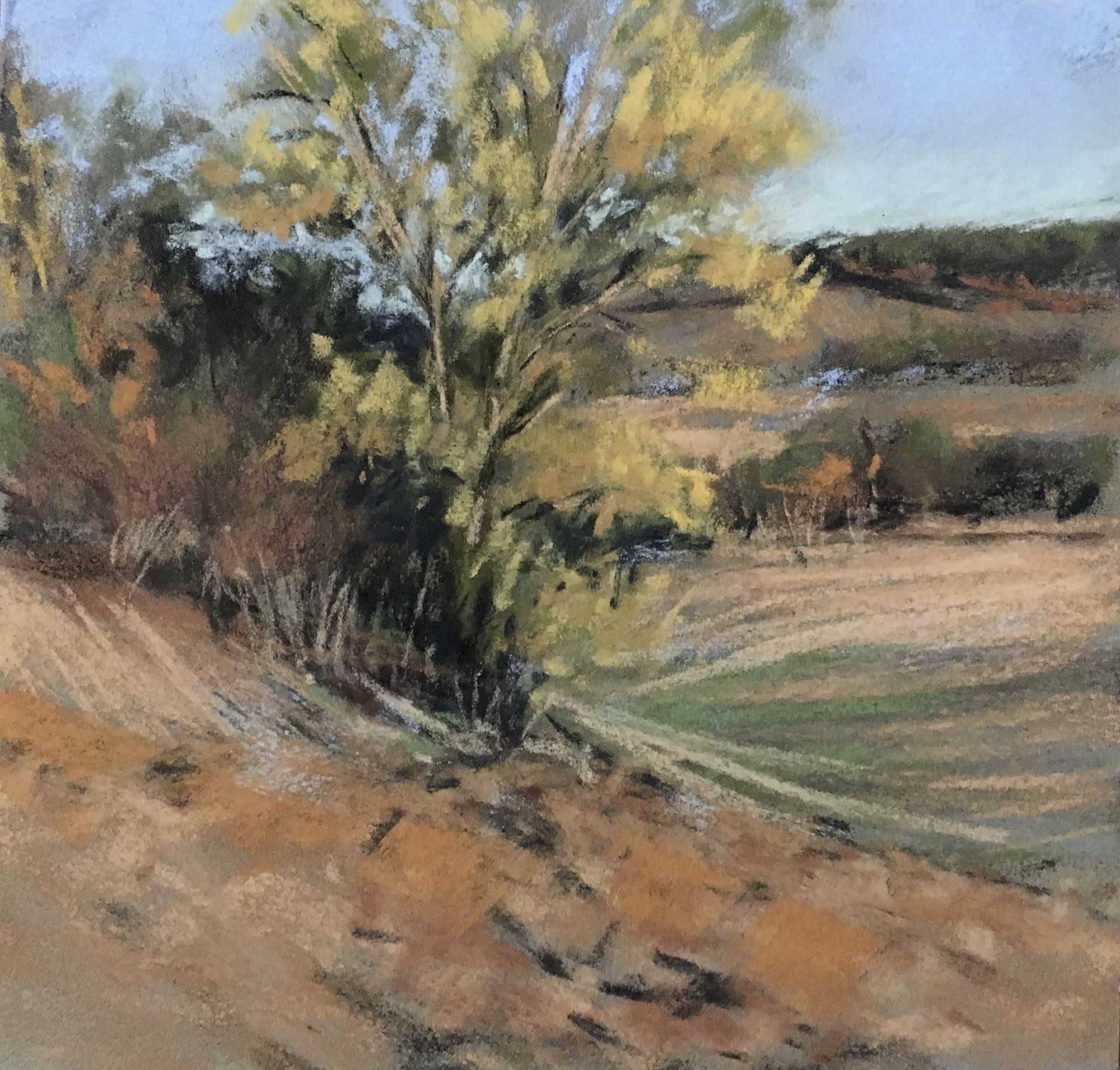 Nach dem Sommer - Pastell, 20x20cm (2018) Nach dem Sommer - Pastell, 20x20cm (2018)