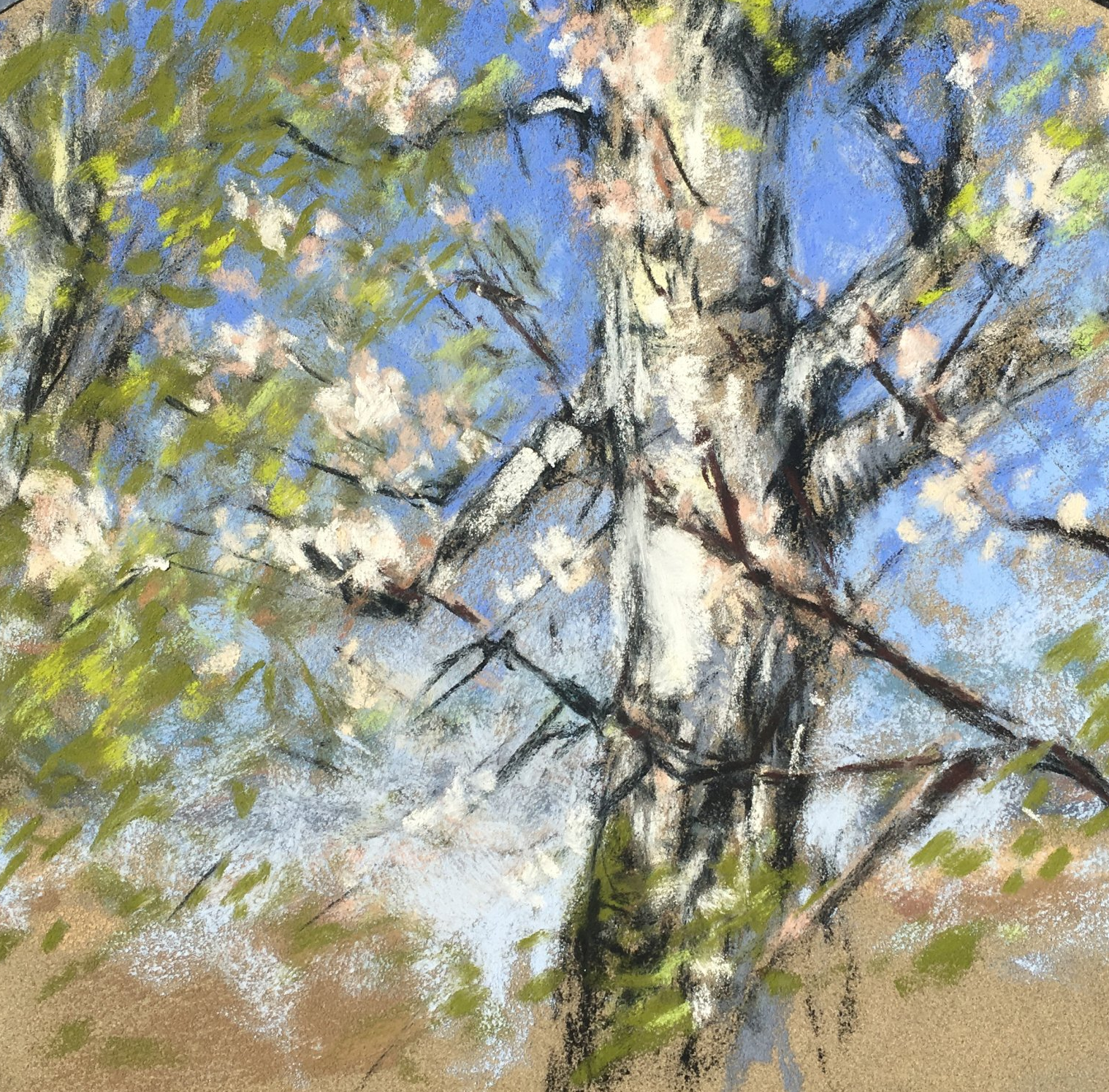 Birke (Detail) - Pleinair Pastellskizze, 20x20cm (2020) Birke (Detail) - Pleinair Pastellskizze, 20x20cm (2020)