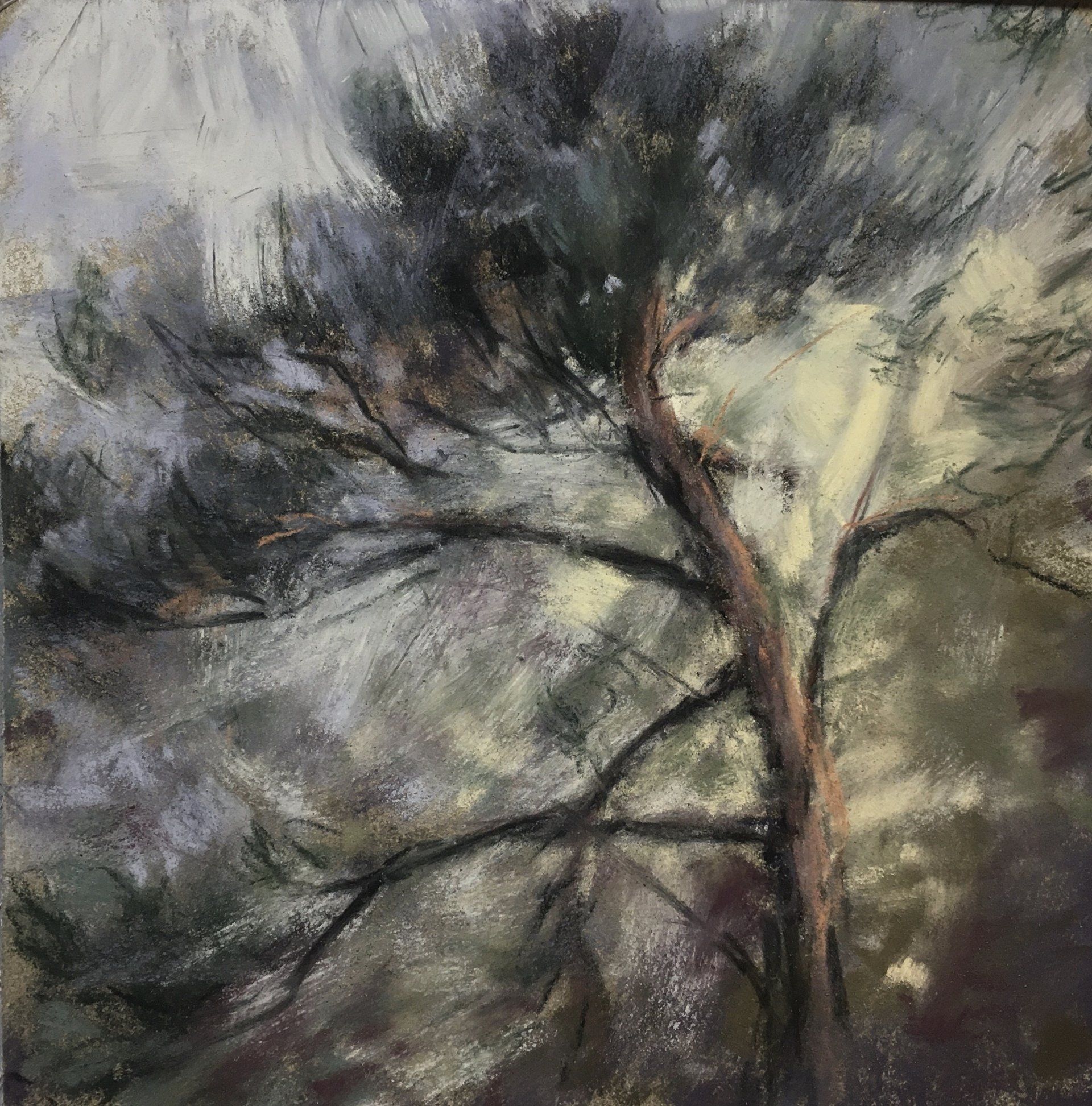 Kiefer - Pastell, 20x20cm (2021) Kiefer - Pastell, 20x20cm (2021)