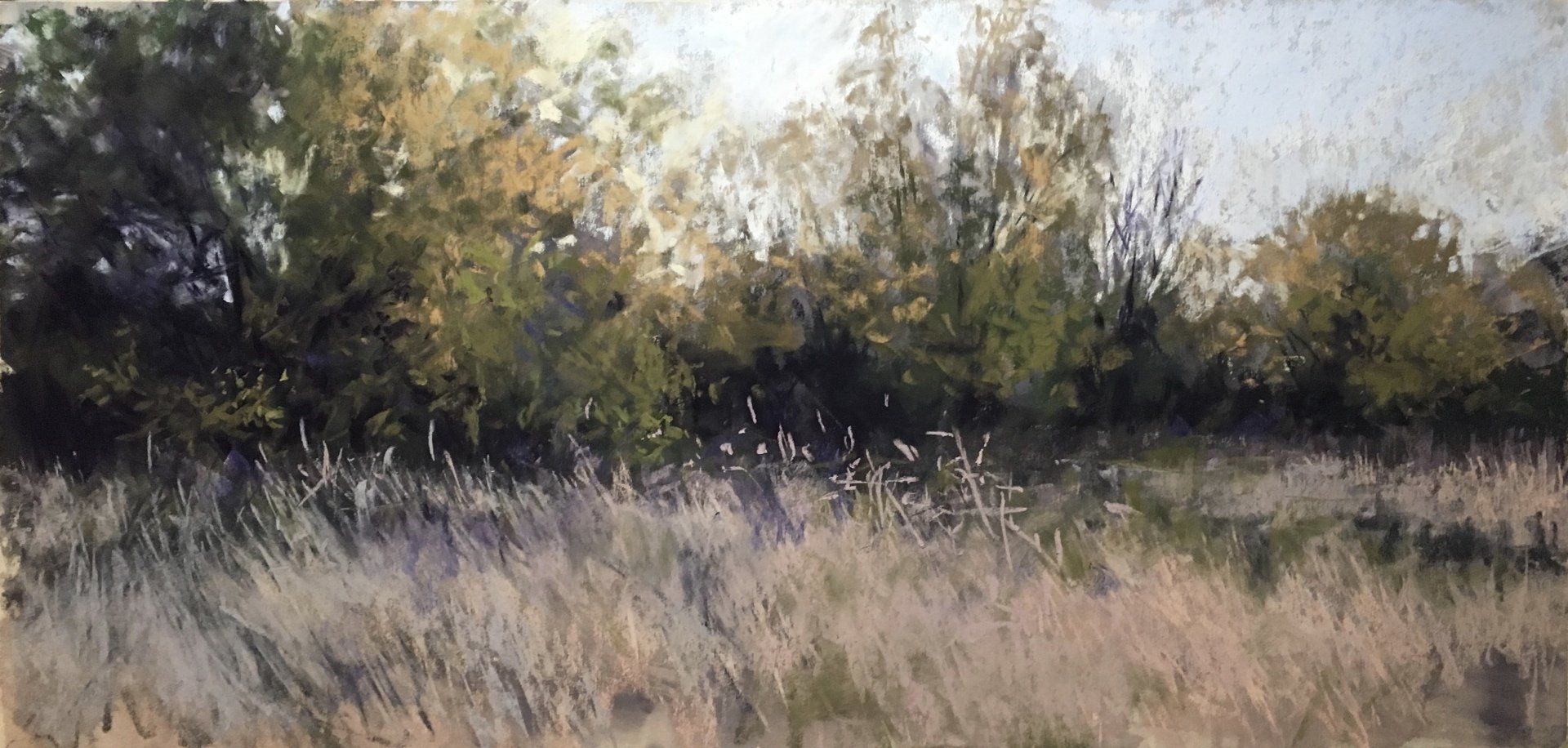 Dry - Pastell, 30x60cm (2019) Dry - Pastell, 30x60cm (2019)