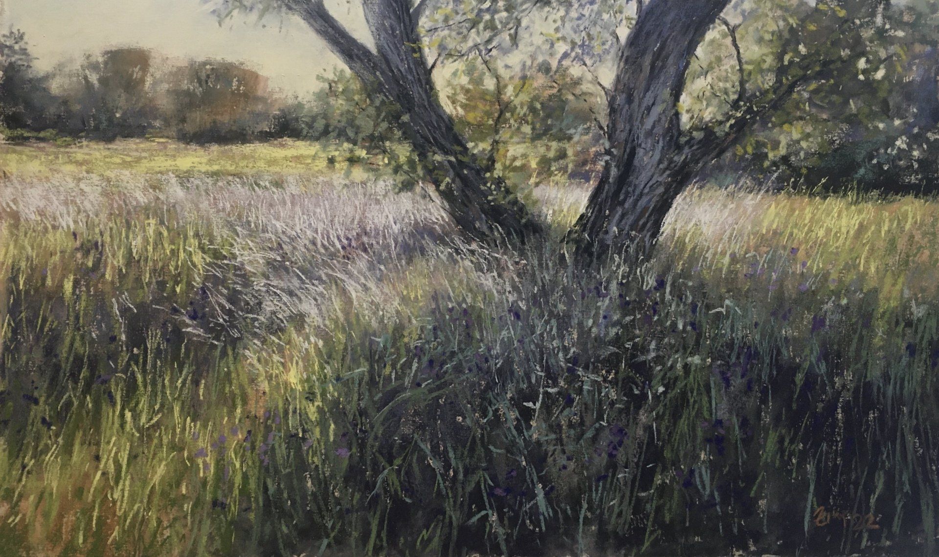 Hope is a flowering meadow - Pastell, 30x50cm (2022 Hope is a flowering meadow - Pastell, 30x50cm (2022)