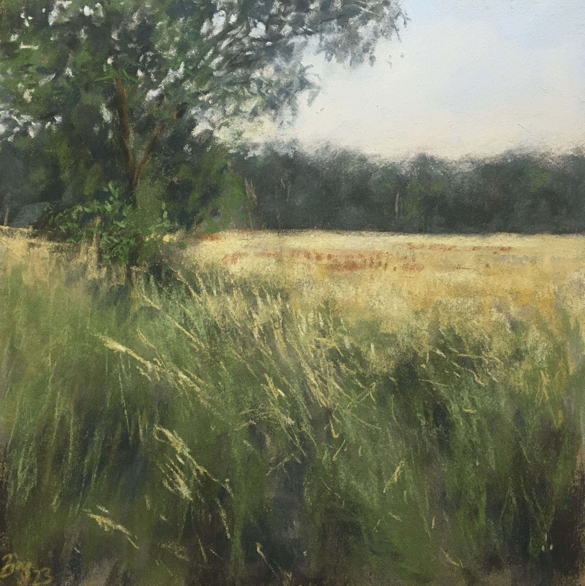 Leaves of grass II - Pastell, 25x25cm (2023) Leaves of grass II - Pastell, 25x25cm (2023)