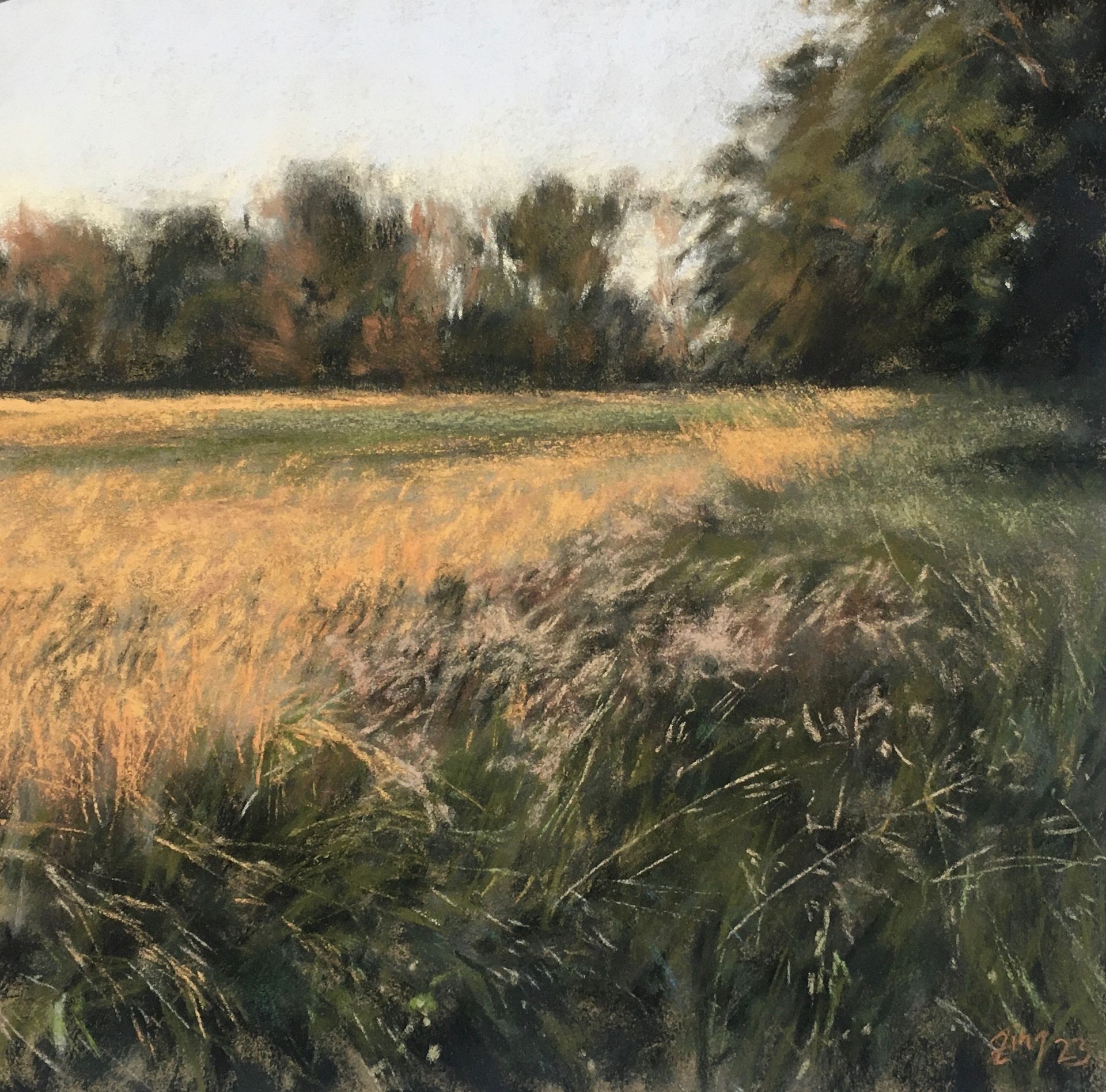 Leaves of grass III - Pastell, 30x30cm Leaves of grass III - Pastell, 30x30cm