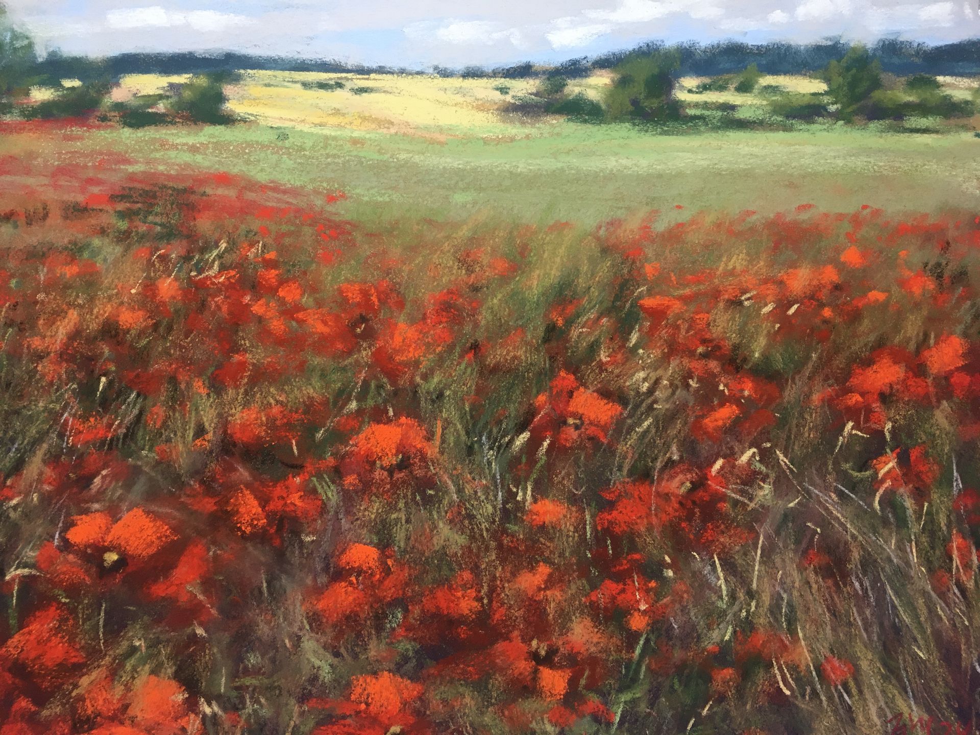 Mohnfeld im Harzvorland - Pastell, 30x40cm (2024) Mohnfeld im Harzvorland - Pastell, 30x40cm (2024)