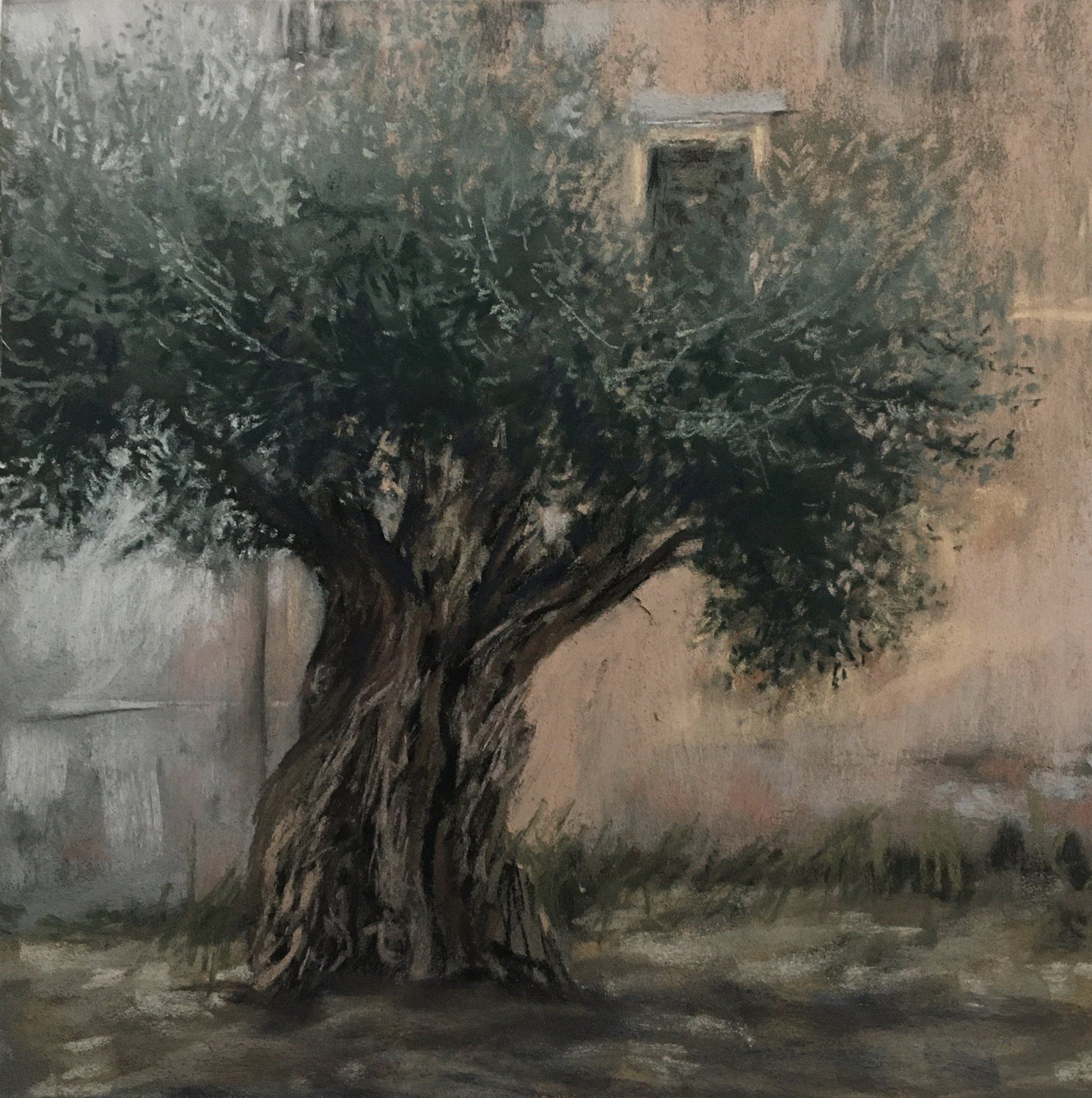 Olivenbaum in Coimbra - Pastell, 30x30cm (2022) Olivenbaum in Coimbra - Pastell, 30x30cm (2022)