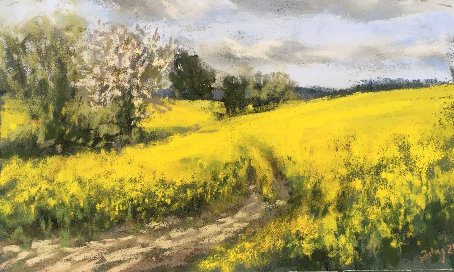 Rapsfelder 1 - Pastell Pleinair Skizze, 20x30cm (2024) Rapsfelder 1 - Pastell Pleinair Skizze, 20x30cm (2024)