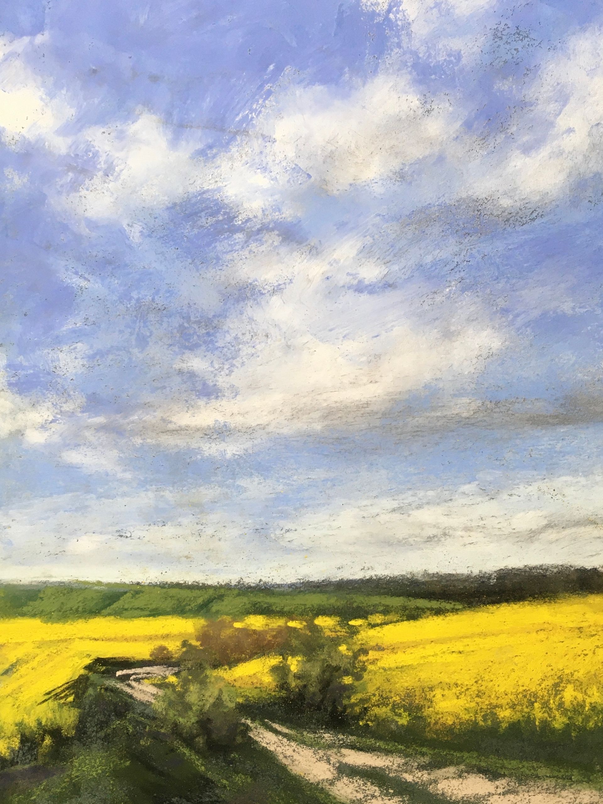 Rapsfelder 2 - Pastell Pleinair Skizze, 30x20cm (2024) Rapsfelder 2 - Pastell Pleinair Skizze, 30x20cm (2024)