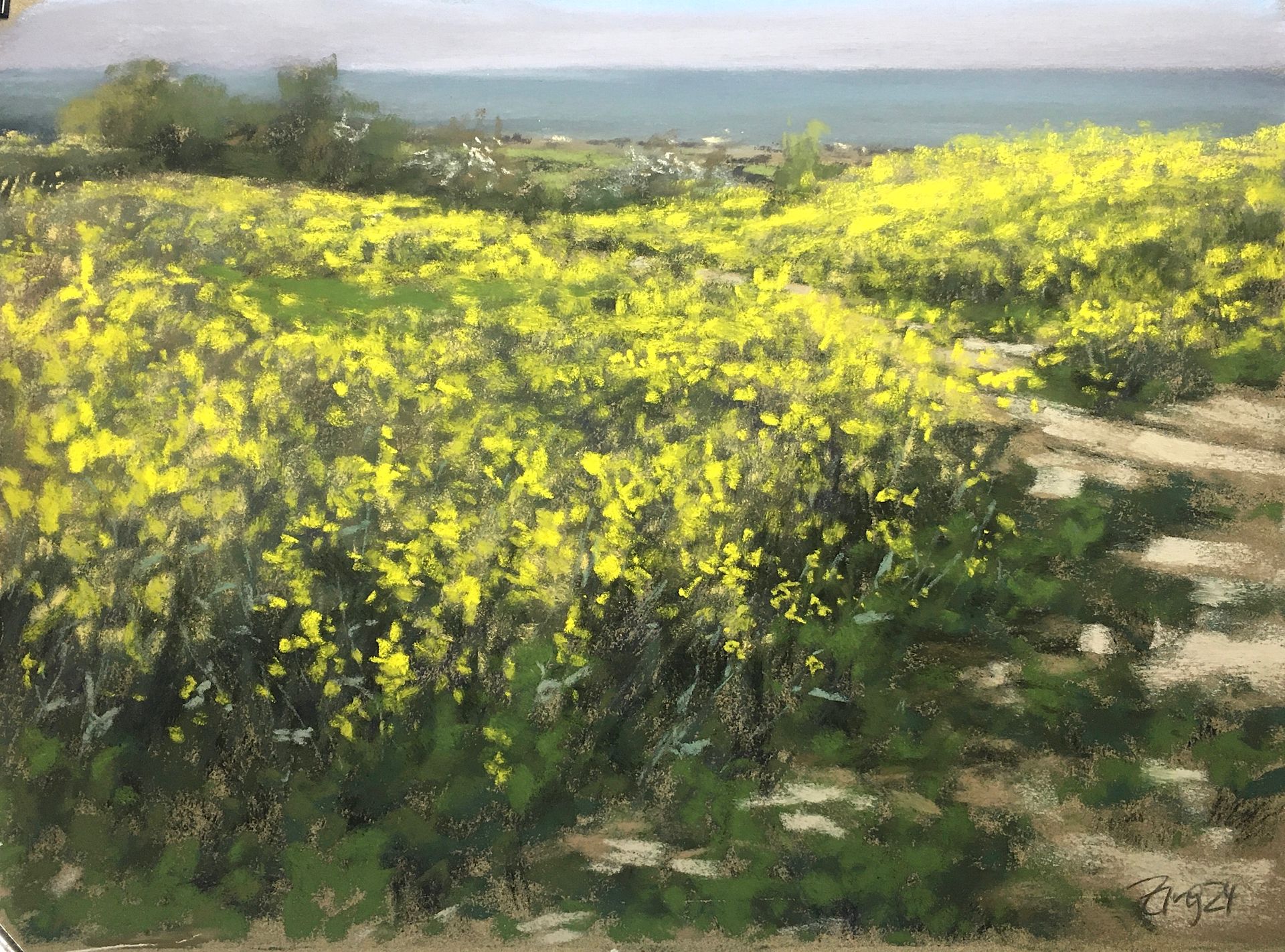 Rapsfeld an der Ostsee - Pastell, 30x40cm (2024) Rapsfeld an der Ostsee - Pastell, 30x40cm (2024)