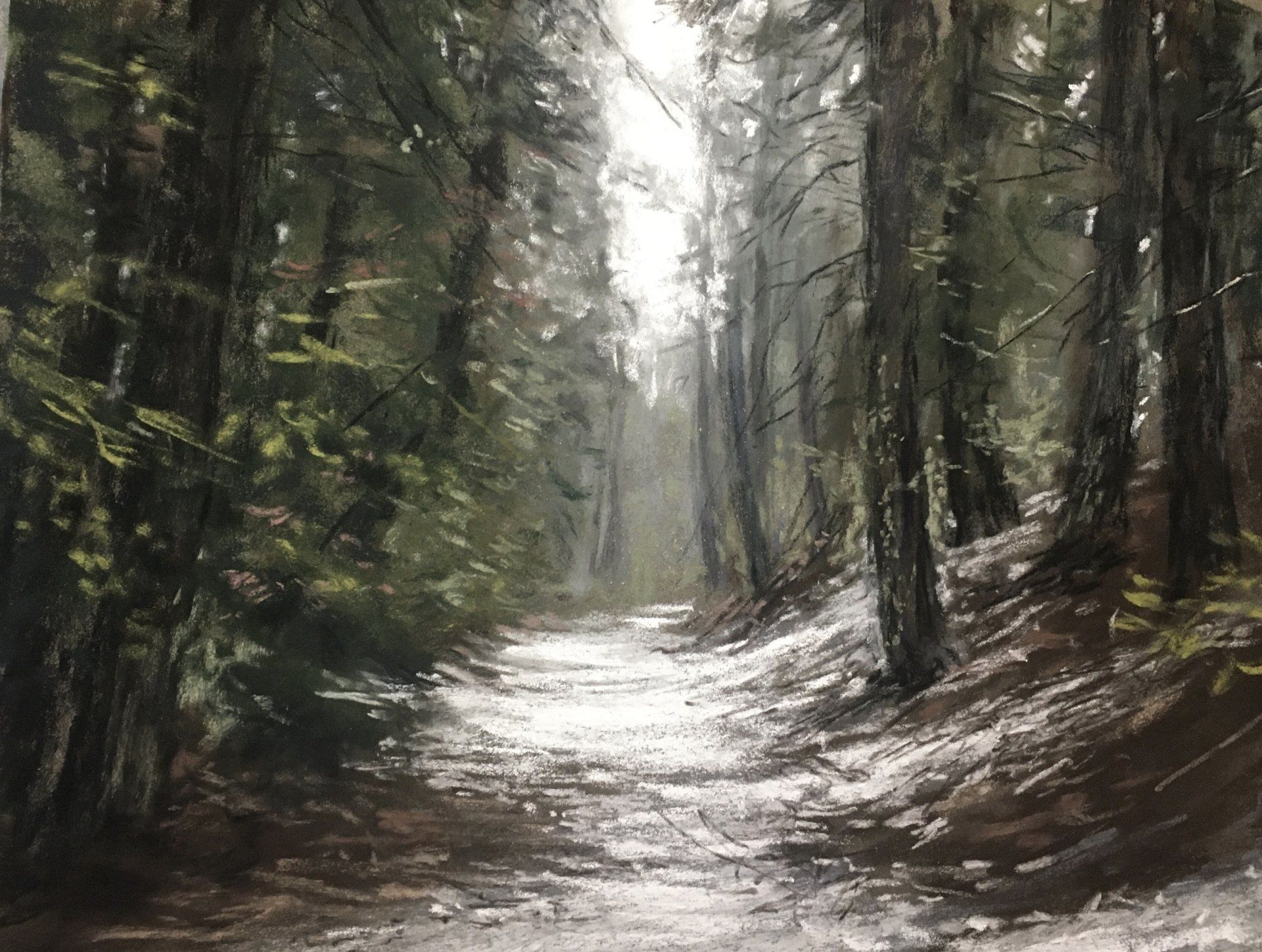 Waldeinsamkeit - Pastell, 25x32cm (2022) Waldeinsamkeit - Pastell, 25x32cm (2022)