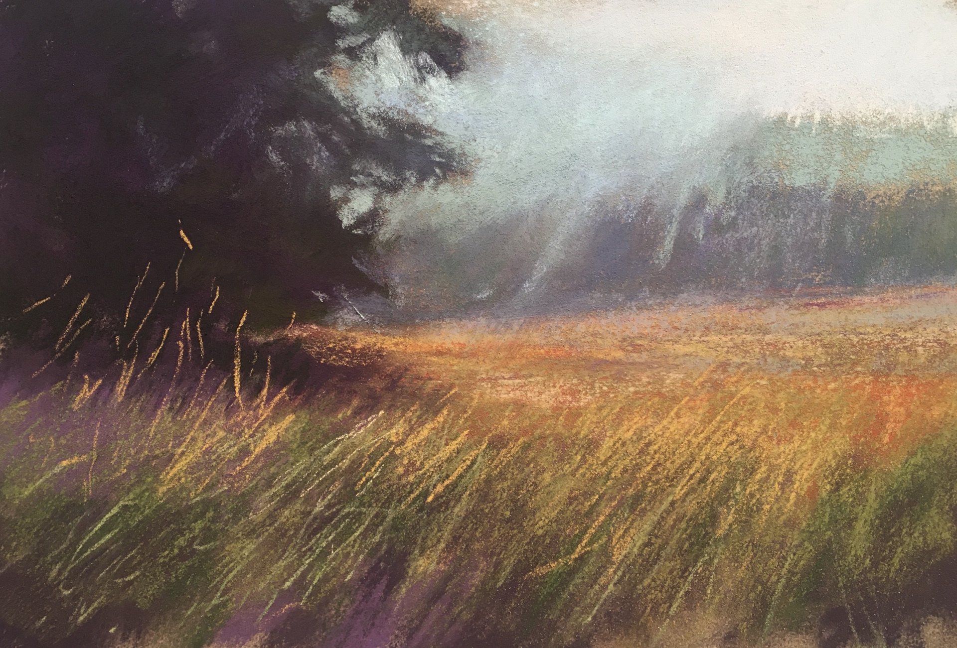 Nebel über der Wiese - Pastell, 25x30cm (2021) Nebel über der Wiese - Pastell, 25x30cm (2021)