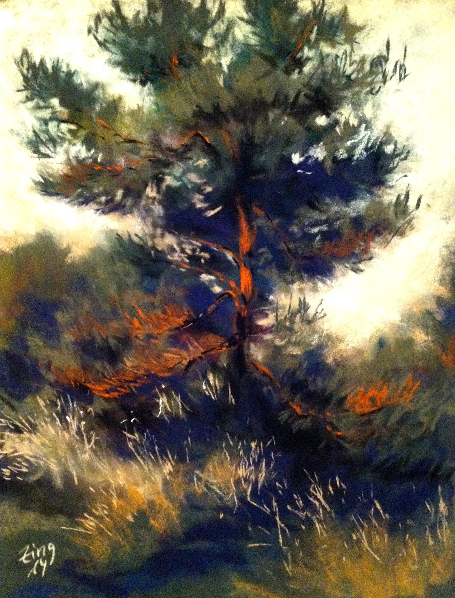 Among the pine trees - Pastell, 2014 (50 x 40 cm) Among the pine trees - Pastell, 2014 (50 x 40 cm)