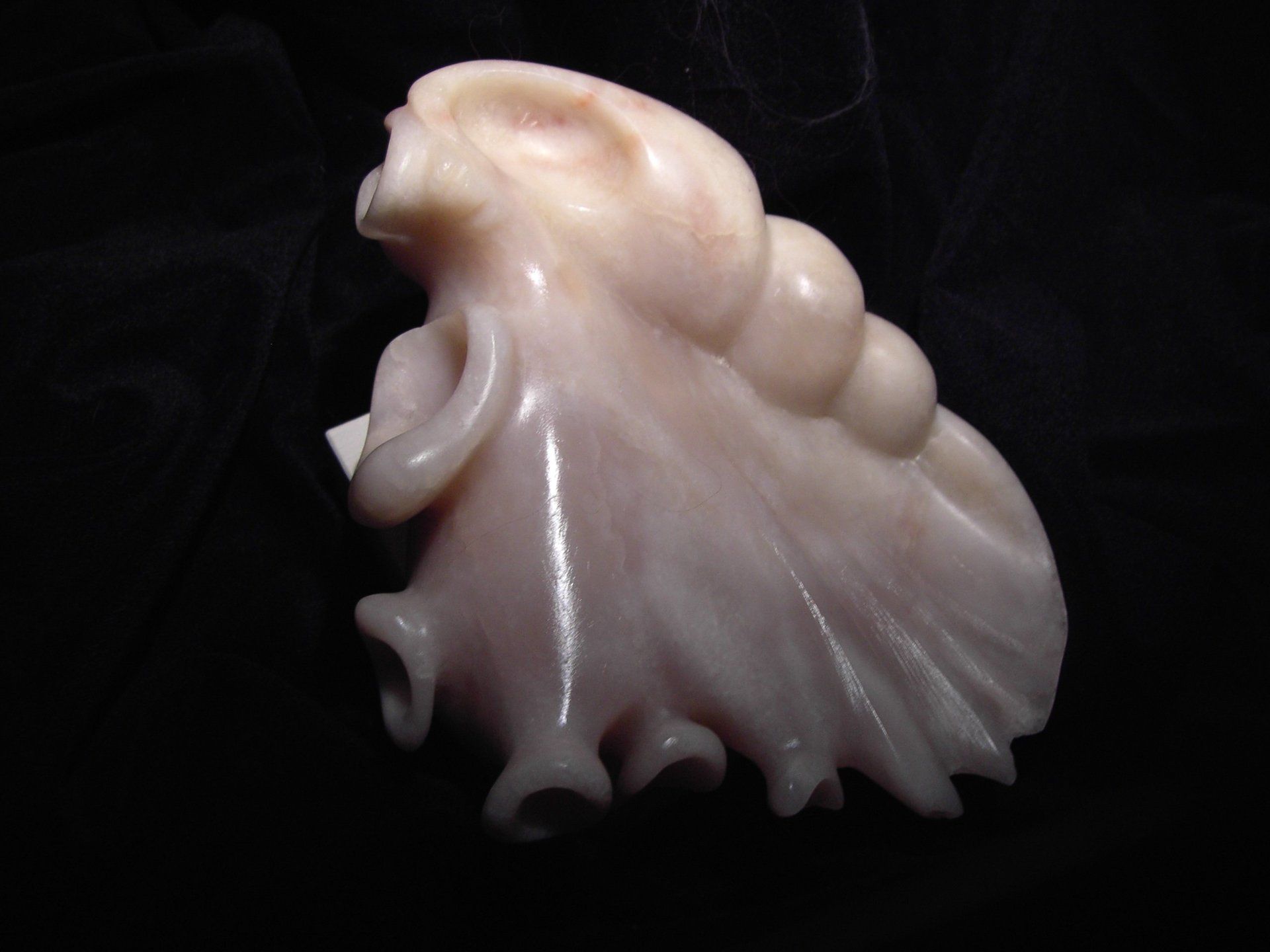 Aus dem Meer II (Tentakelmuschel) - Speckstein, 2011 (17 x 13 x 8 cm) Aus dem Meer II (Tentakelmuschel) - Speckstein, 2011 (17 x 13 x 8 cm)