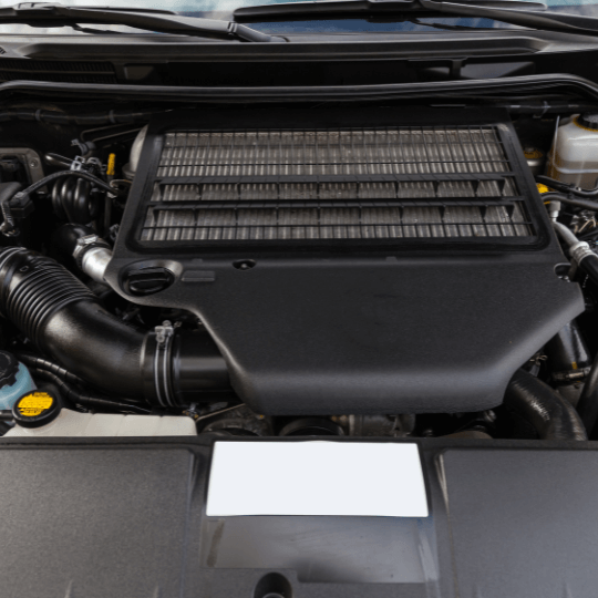 Auto Body Panel Clips