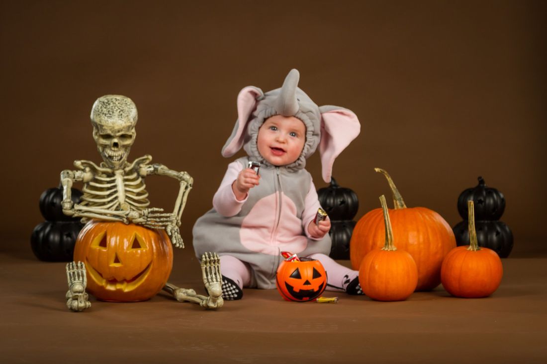 A studio portrait of a small girl in an elephant costume sitting among several pumpkins and jack-o-lantern for Halloween portraits with a brown background