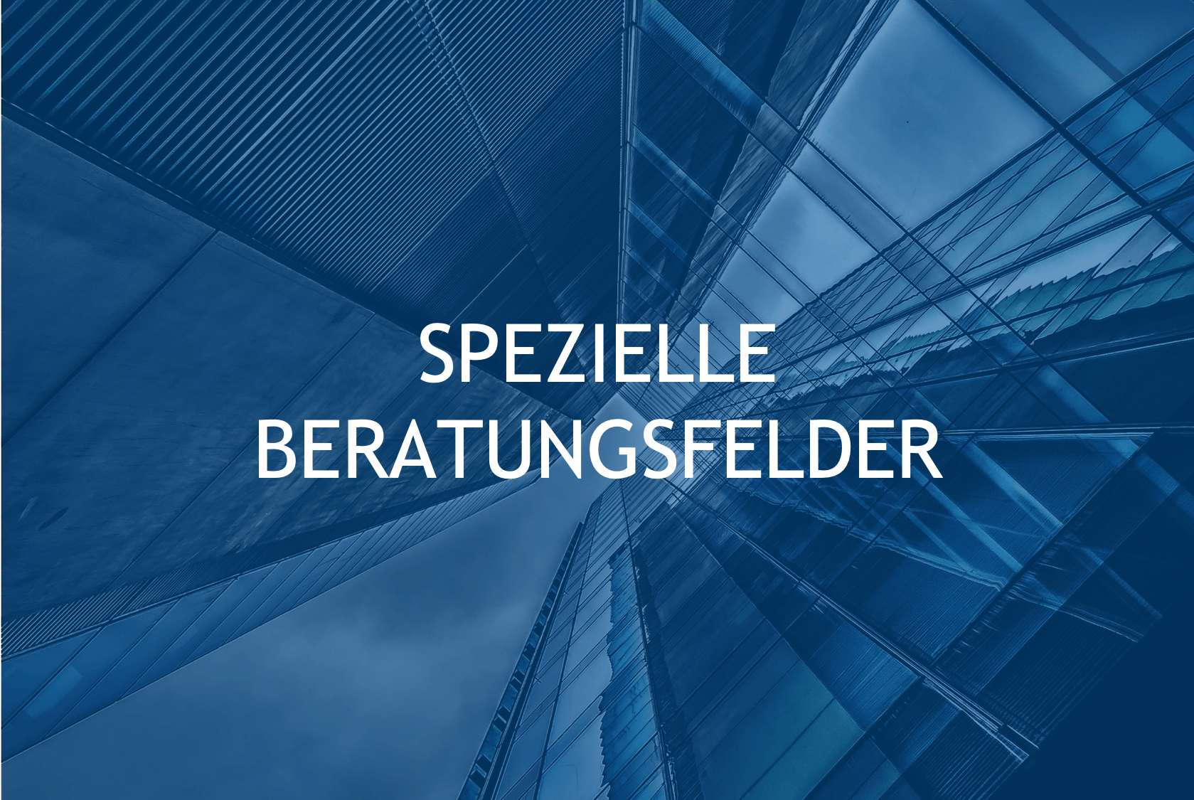 Spezielle Beratungsfelder, Projektsicherheit, Interne Ermittlungen, Abwehr von Wirtschaftsspionage, Abwehr von Konkurrenzausspähung, Kontakte zu Sicherheitsbehörden, Zusammenarbeit mit Sicherheitsbehörden, Reisesicherheit, Abhörschutz