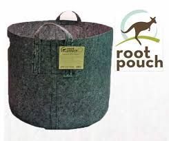 Native trees grown in root pouches ready for planting