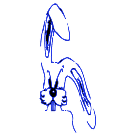 Harvey T. Rab Logo
