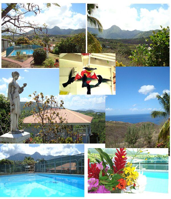 Le Carbet et le Nord Caraïbe