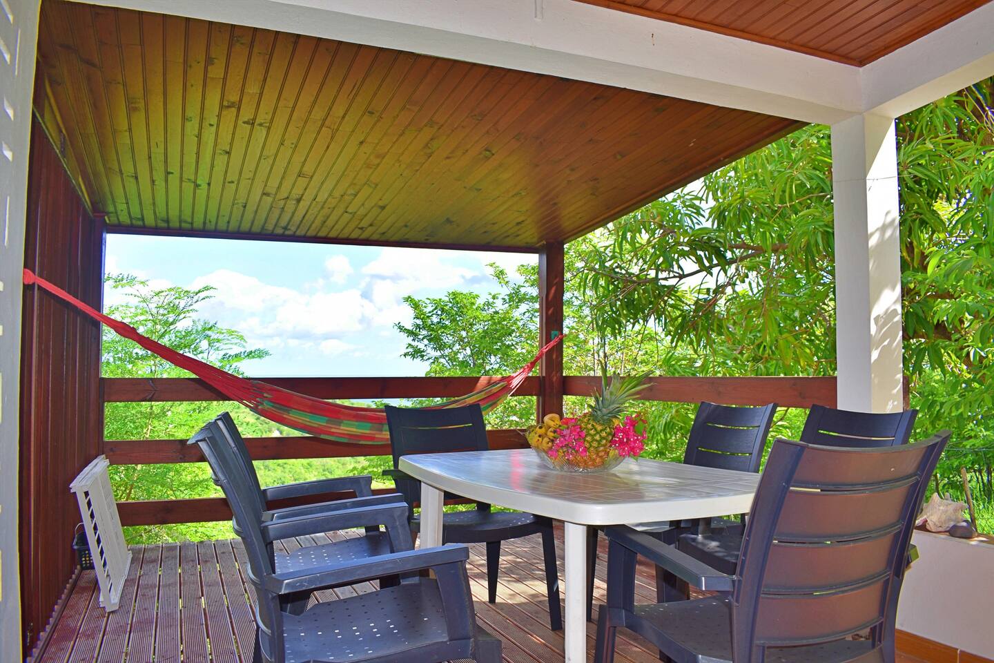 Bassignac - terrasse