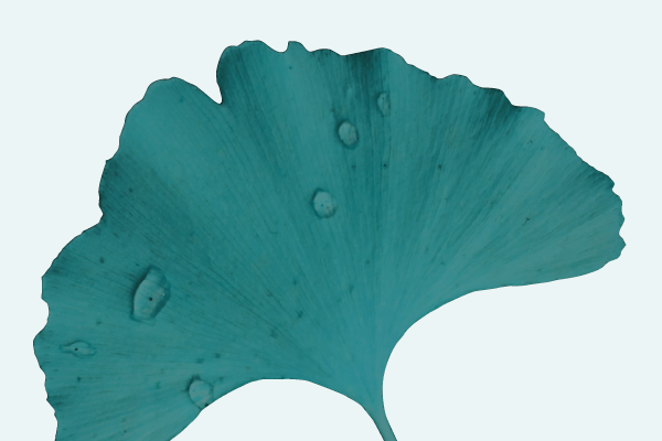 Memobrandum Gedächtnisexperte