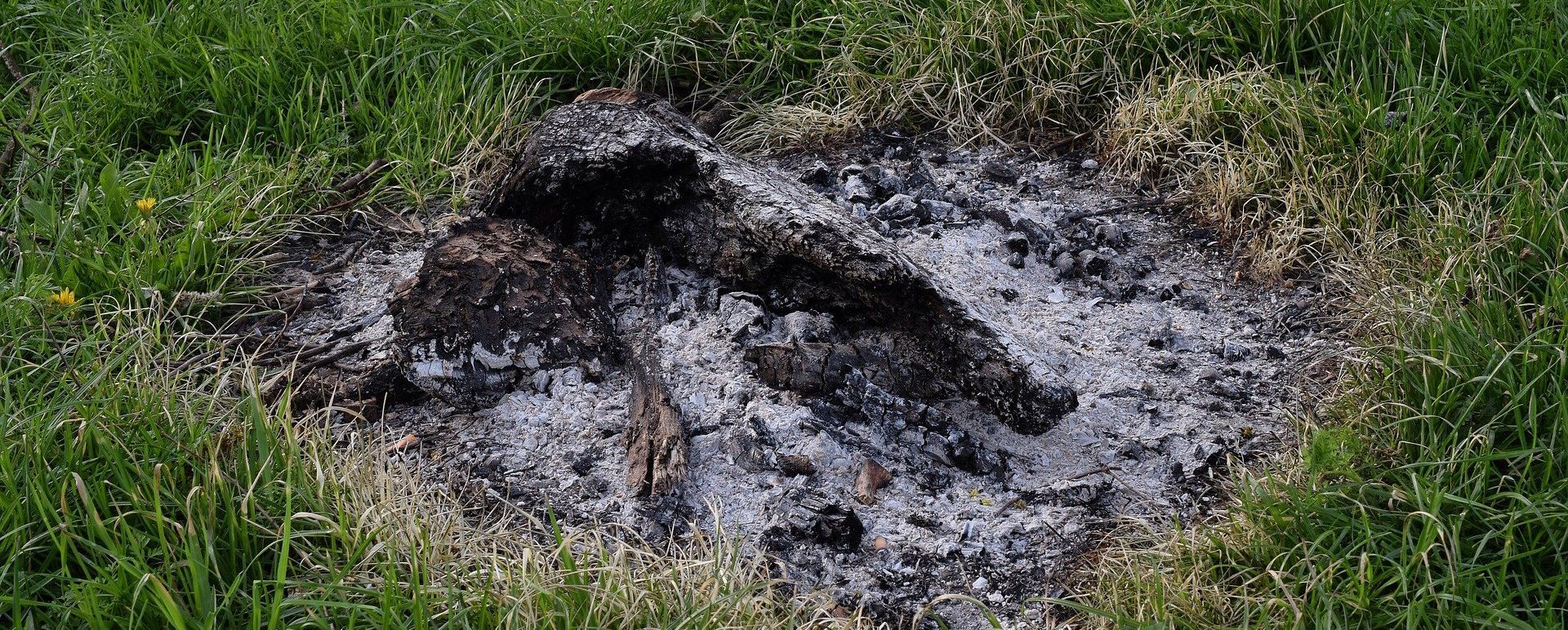Natürlicher Dünger Asche Natürlicher Dünger Asche