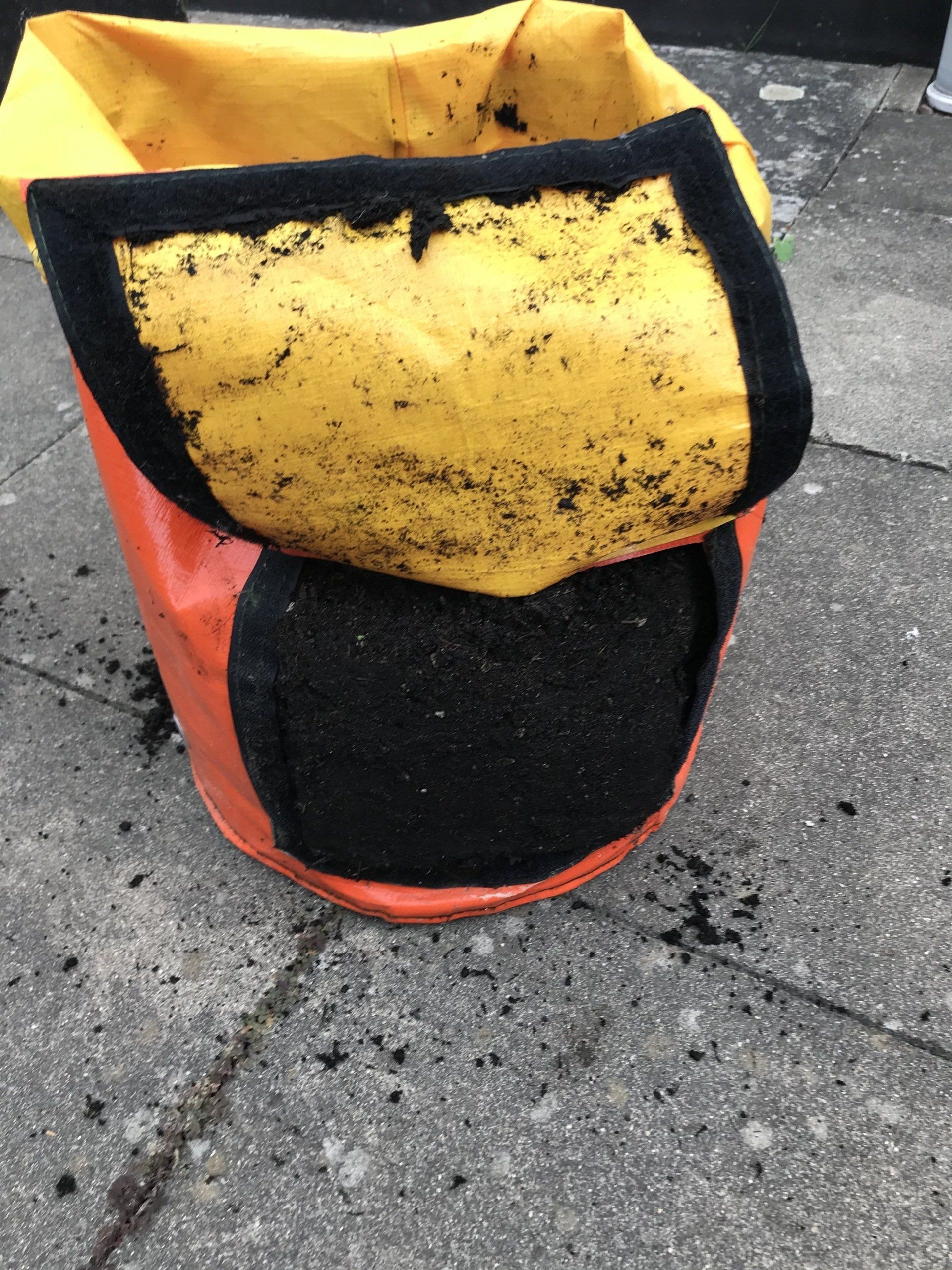 Kartoffeln im Sack anbauen Erfahrung Pflanzsack