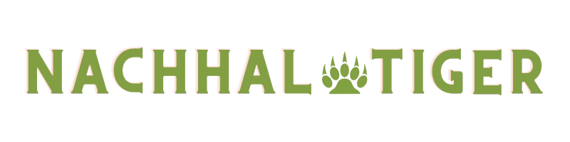Nachhal-Tiger Logo Nachhal-Tiger Logo