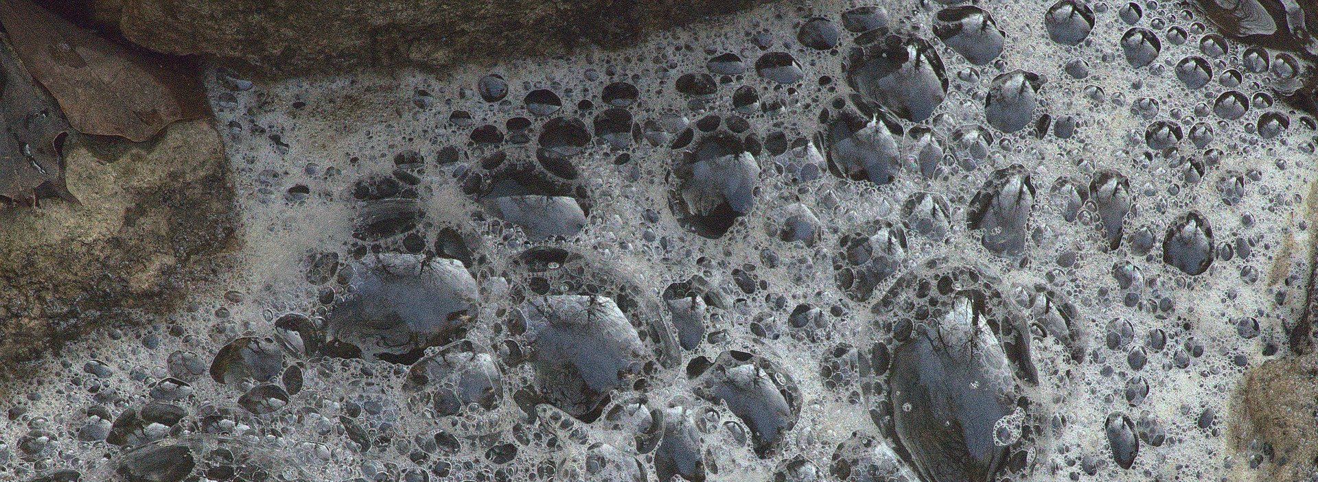 Umweltverschmutzung durch Waschmittel