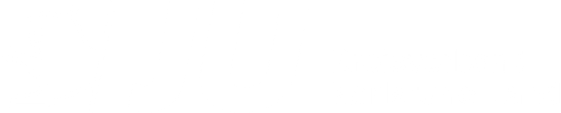 Junge Union Karlsruhe-Land Junge Union Karlsruhe-Land